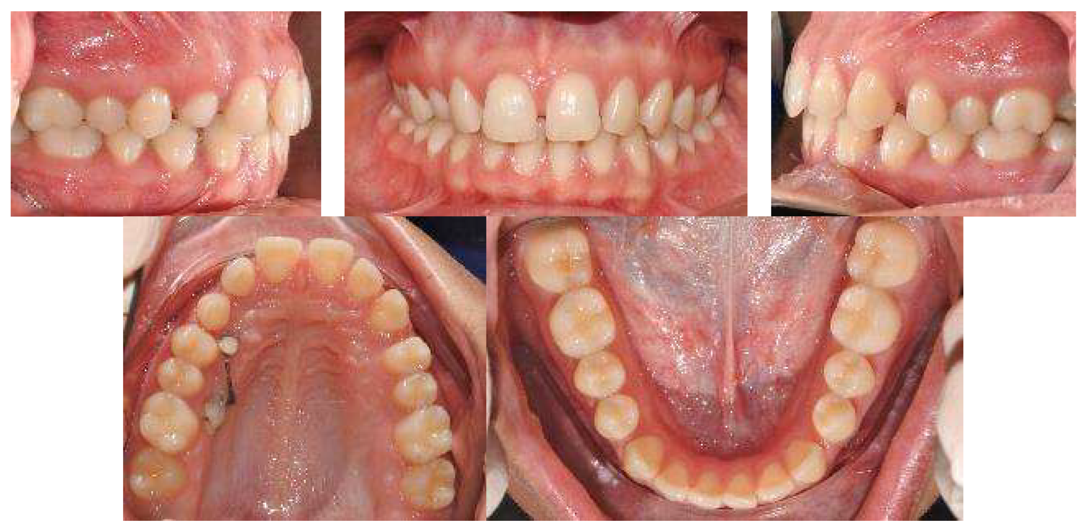 Applsci 13 06914 g003