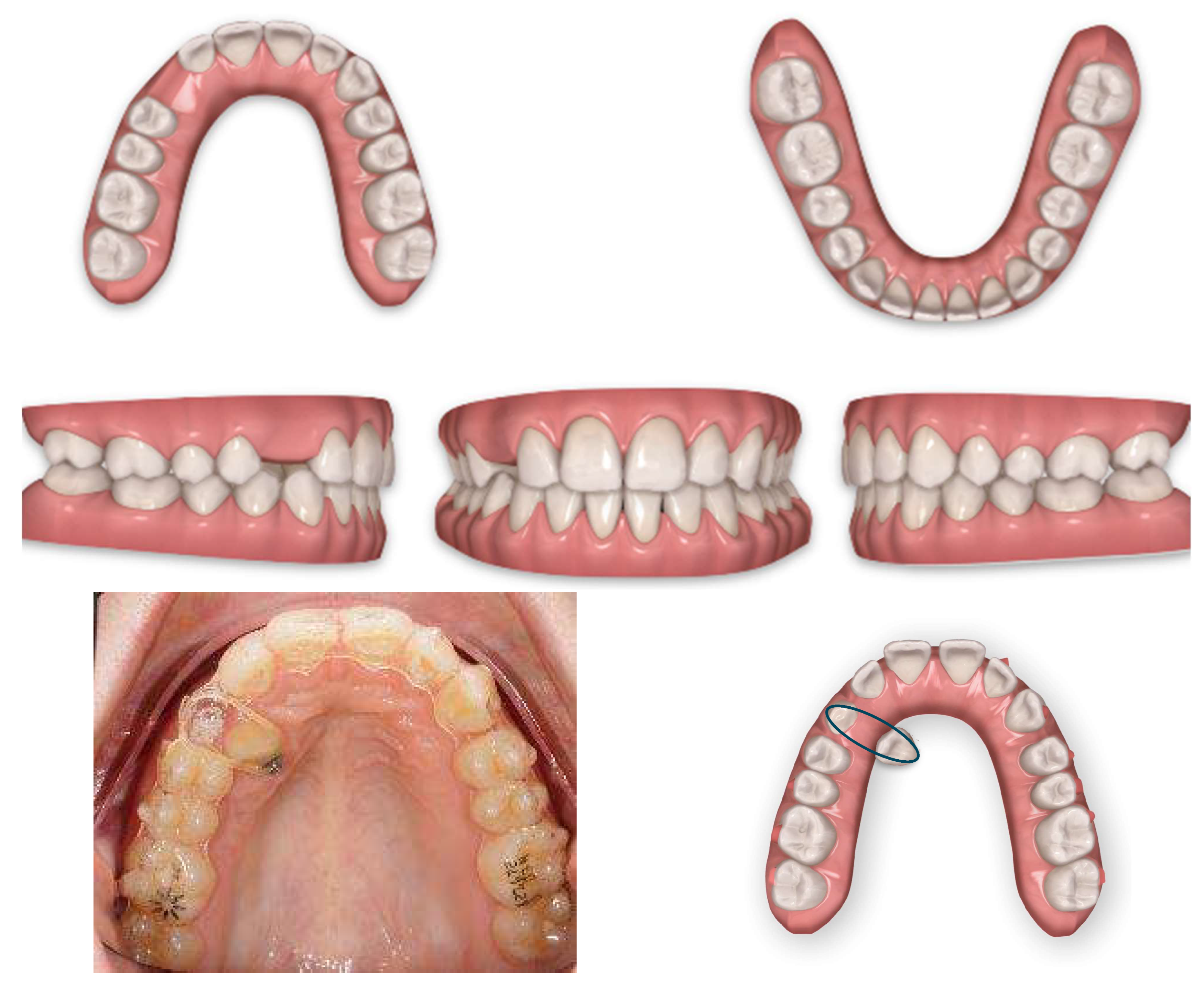 Applsci 13 06914 g005