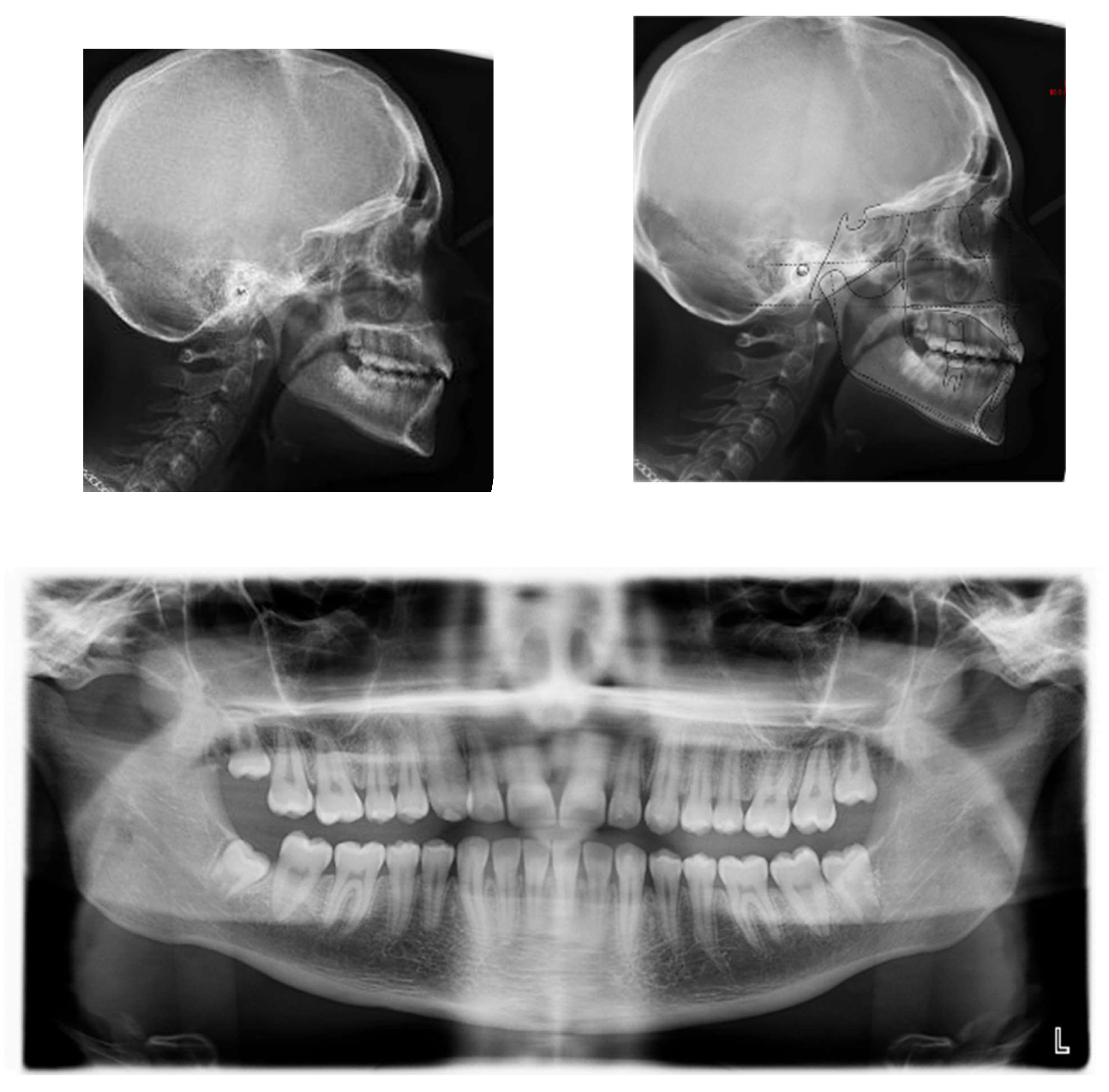 Applsci 13 06914 g010