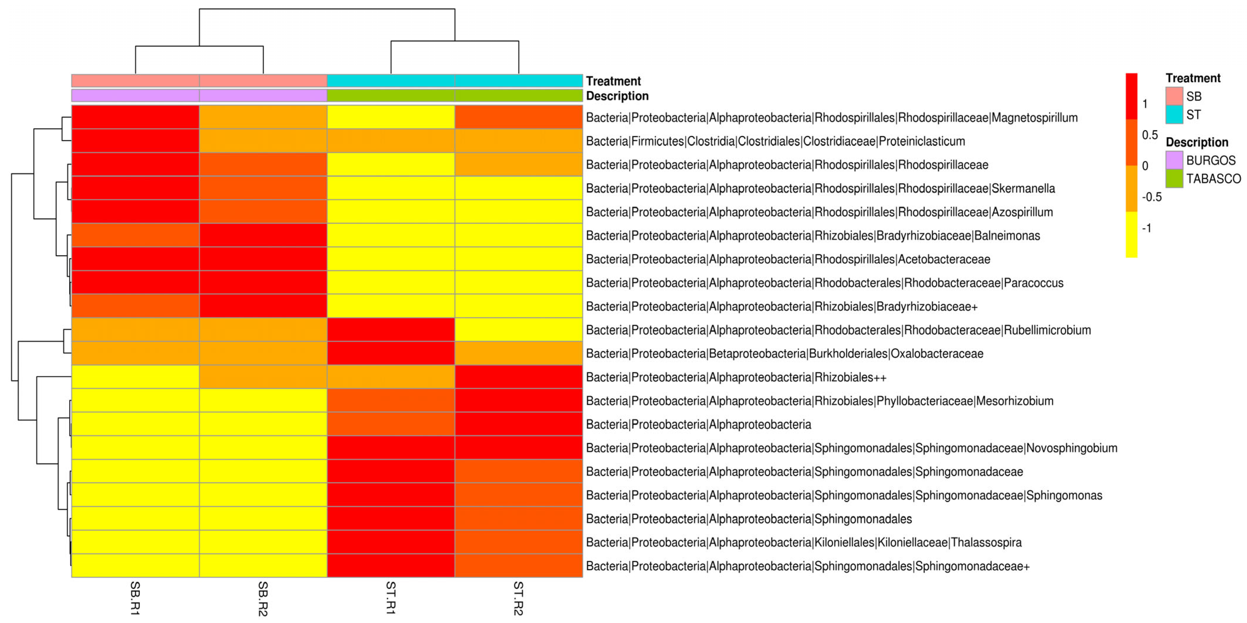Applsci 13 06922 g005 Applsci 13 06922 g005