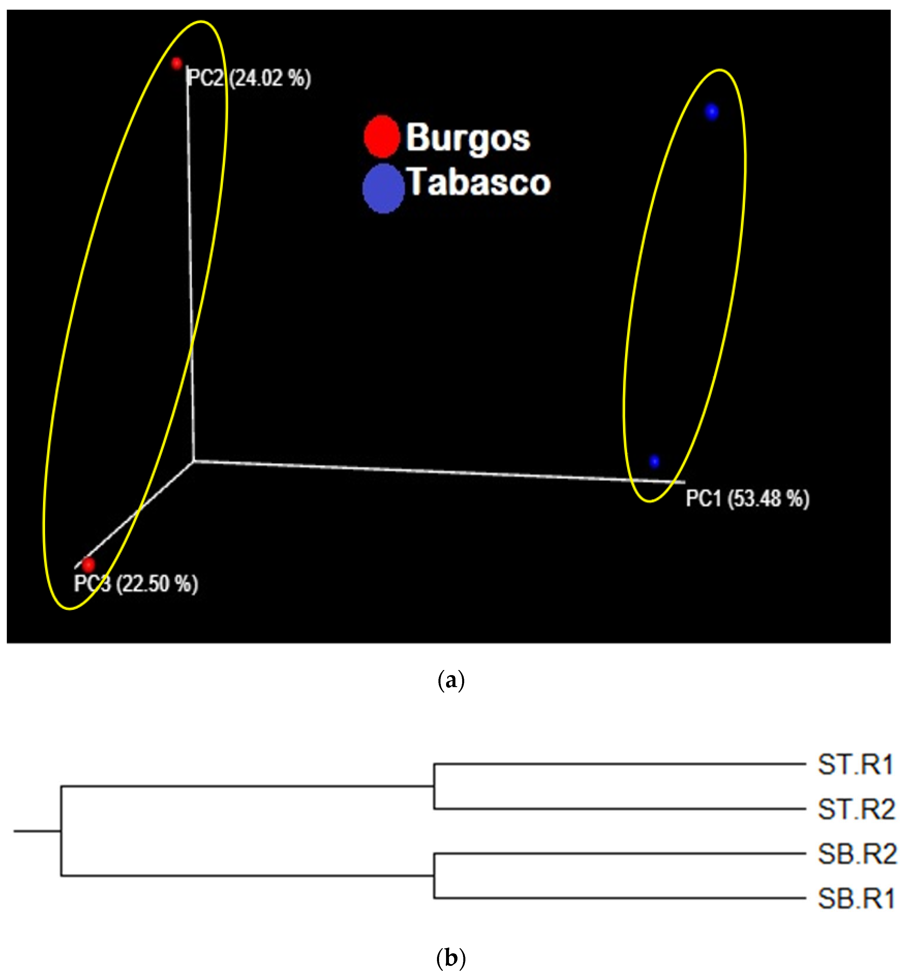 Applsci 13 06922 g007 Applsci 13 06922 g007