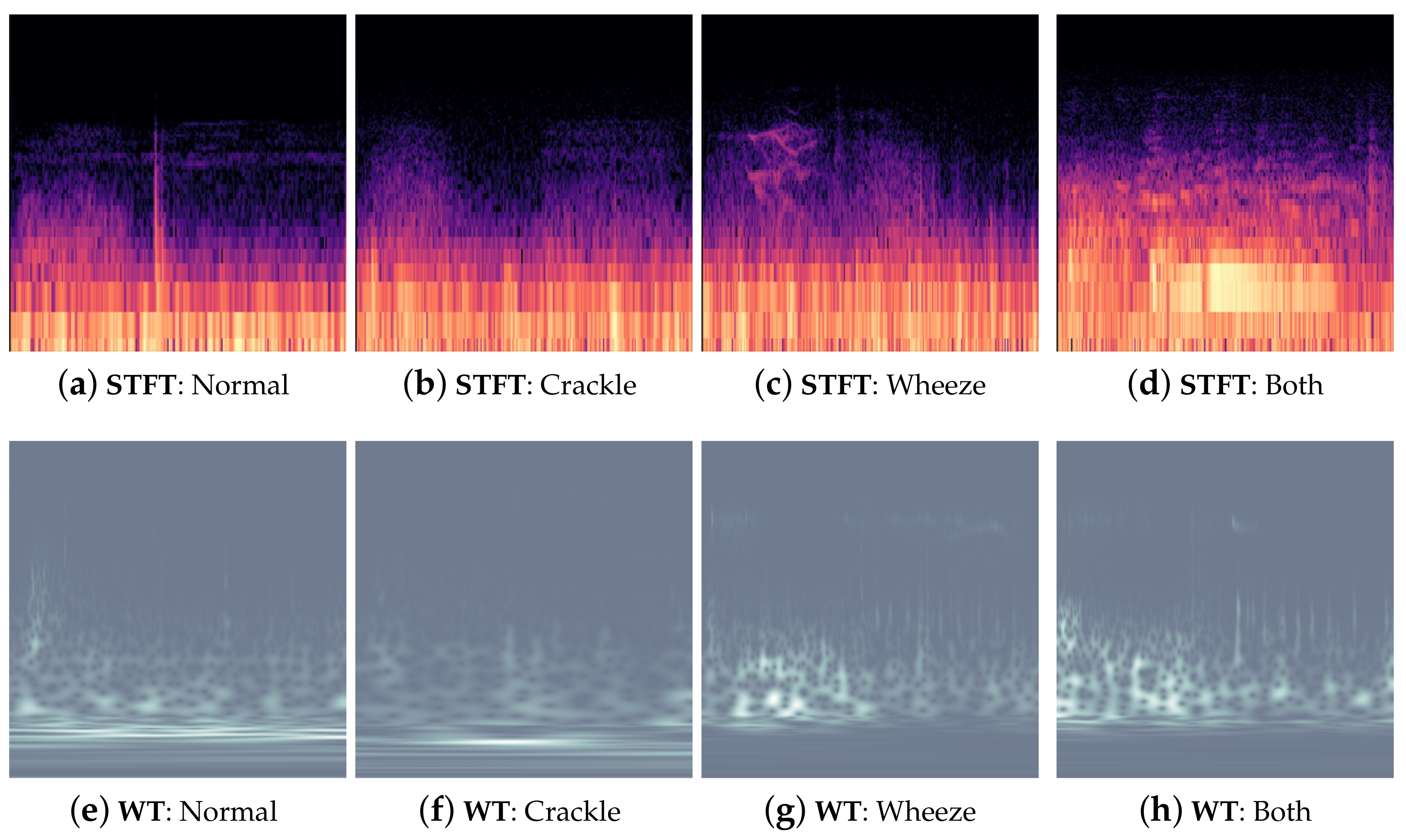 Applsci 13 06956 g001
