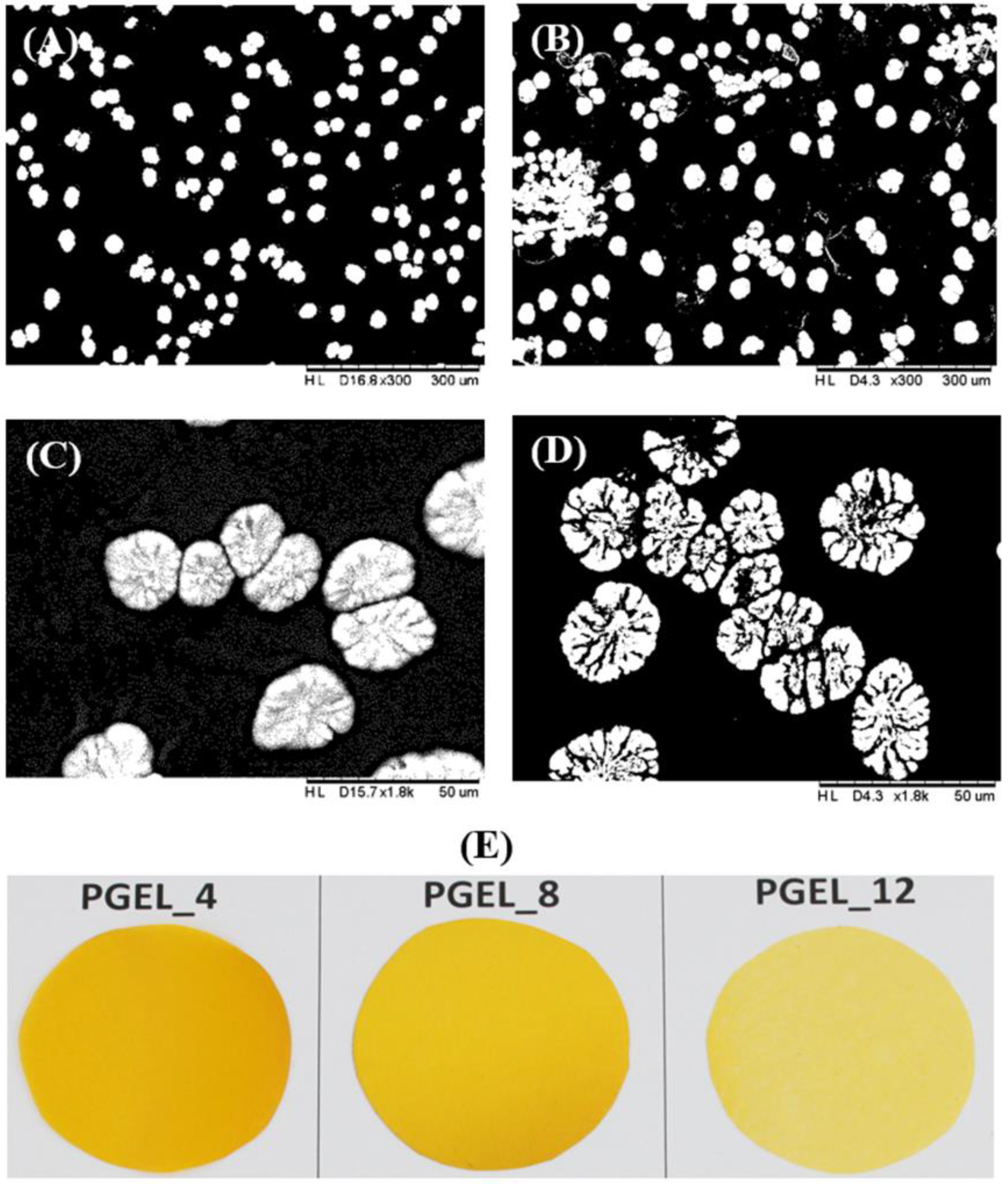 Applsci 13 06959 g006 Applsci 13 06959 g006
