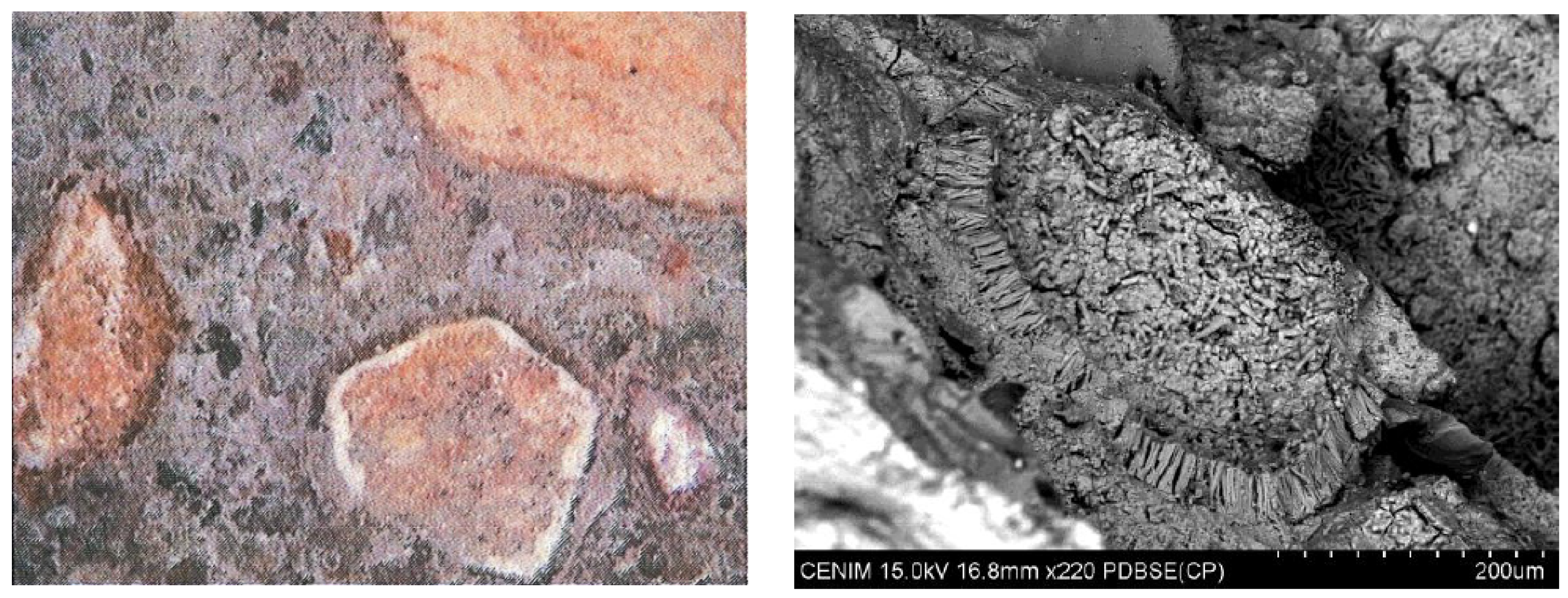 Applsci 13 06961 g009