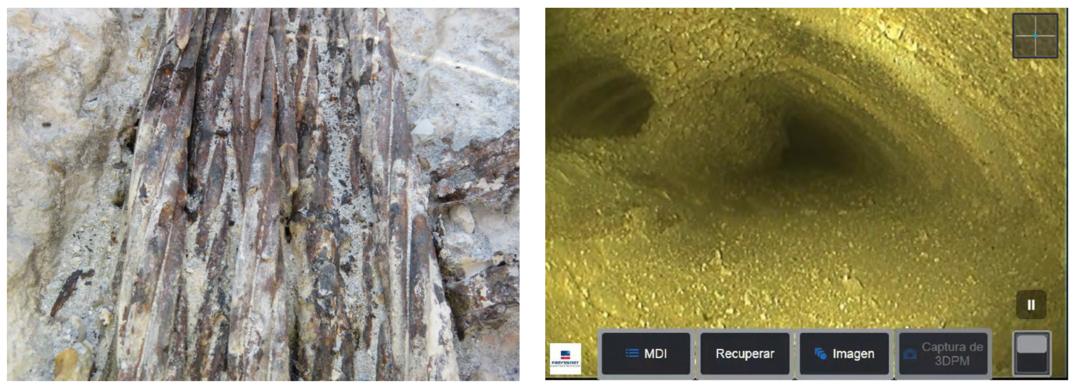 Applsci 13 06961 g010