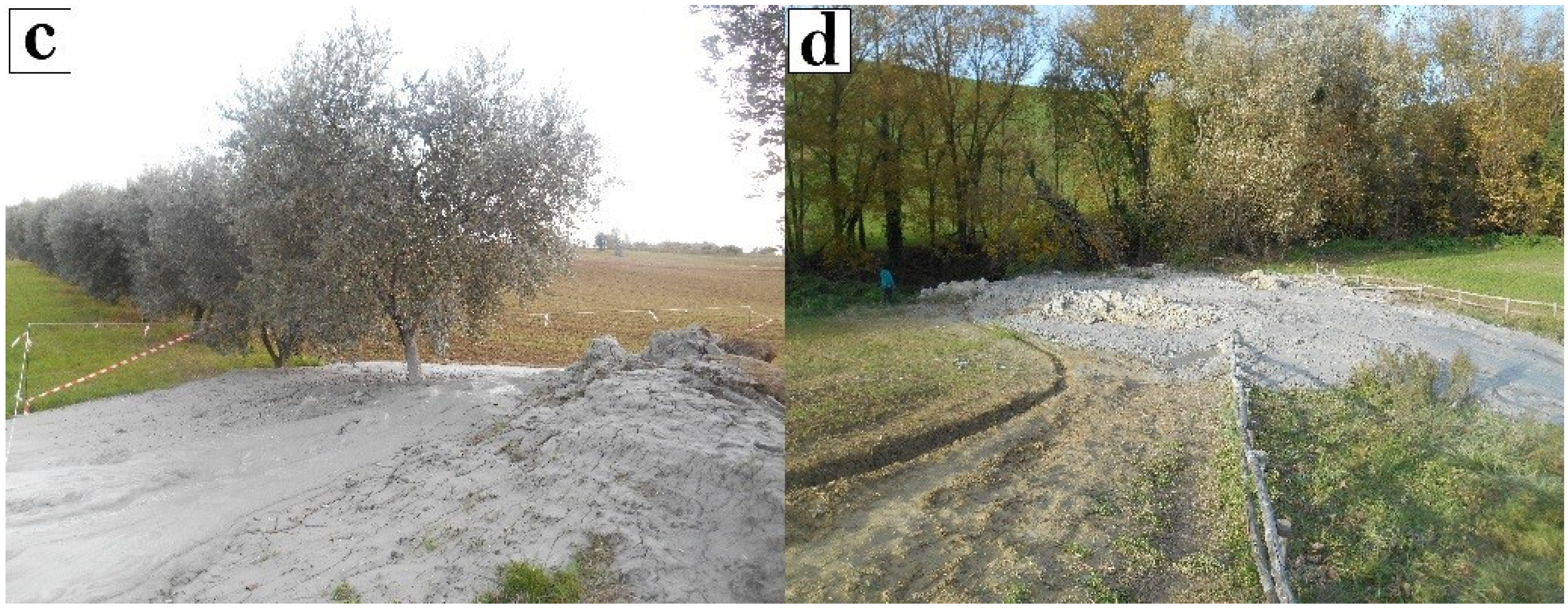 Applsci 13 06968 g001b Applsci 13 06968 g001b