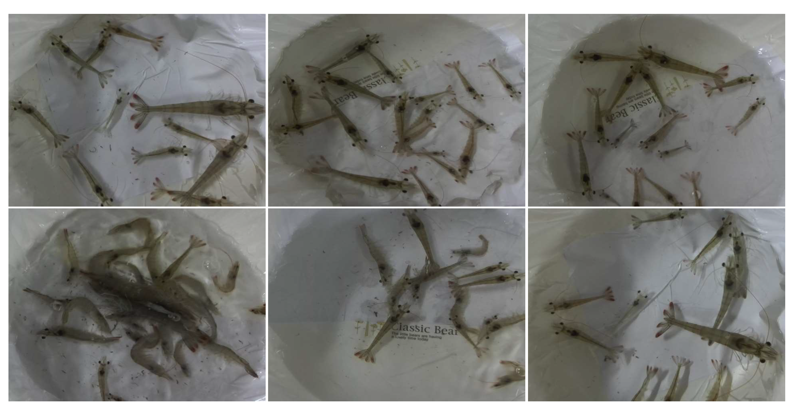 Applsci 13 06979 g001 550