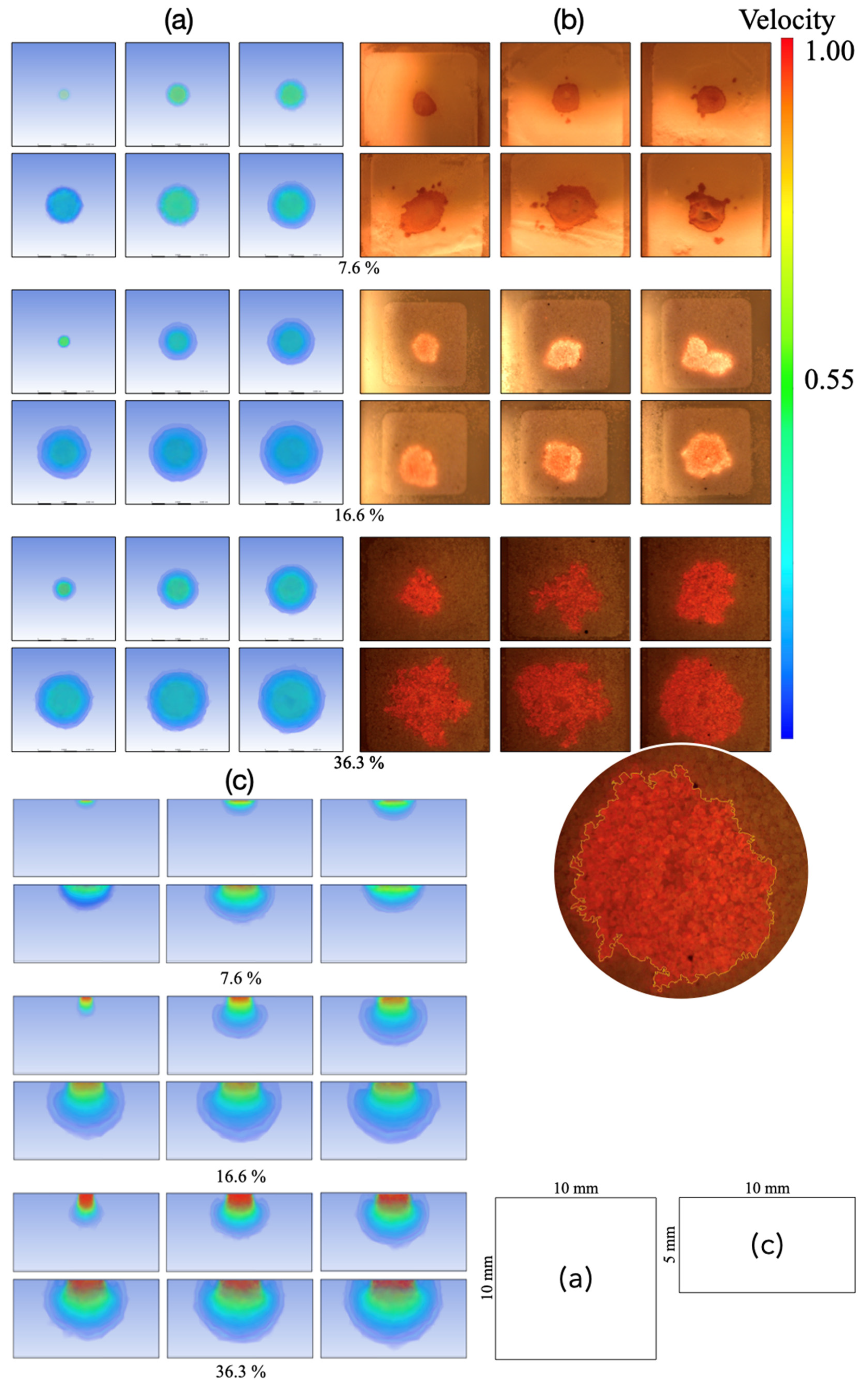 Applsci 13 06985 g003 Applsci 13 06985 g003