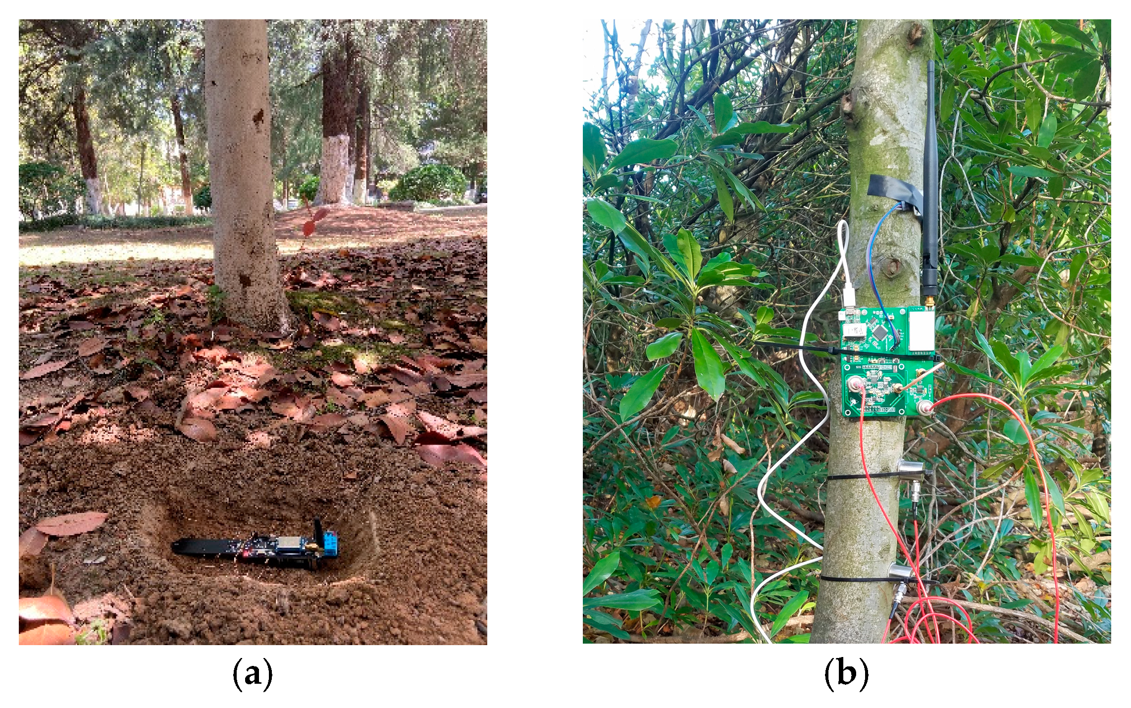 Applsci 13 06990 g006 Applsci 13 06990 g006