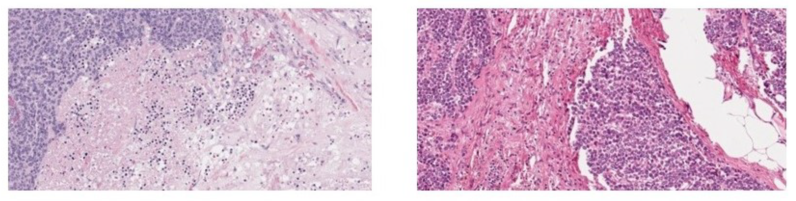 Applsci 13 07009 g003 Applsci 13 07009 g003