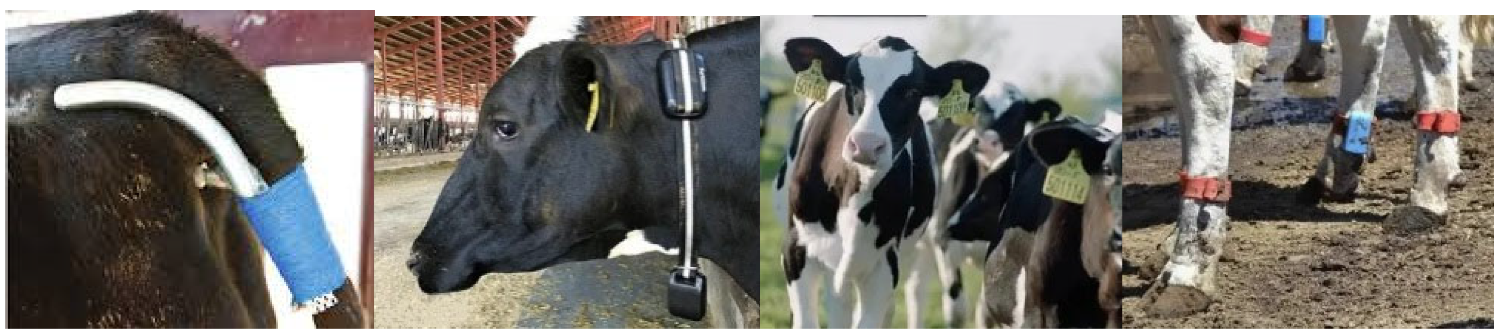 Applsci 13 07052 g001 Applsci 13 07052 g001