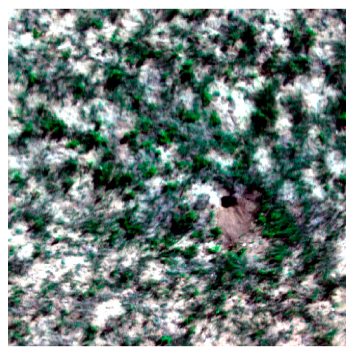 Applsci 13 07057 g002 Applsci 13 07057 g002