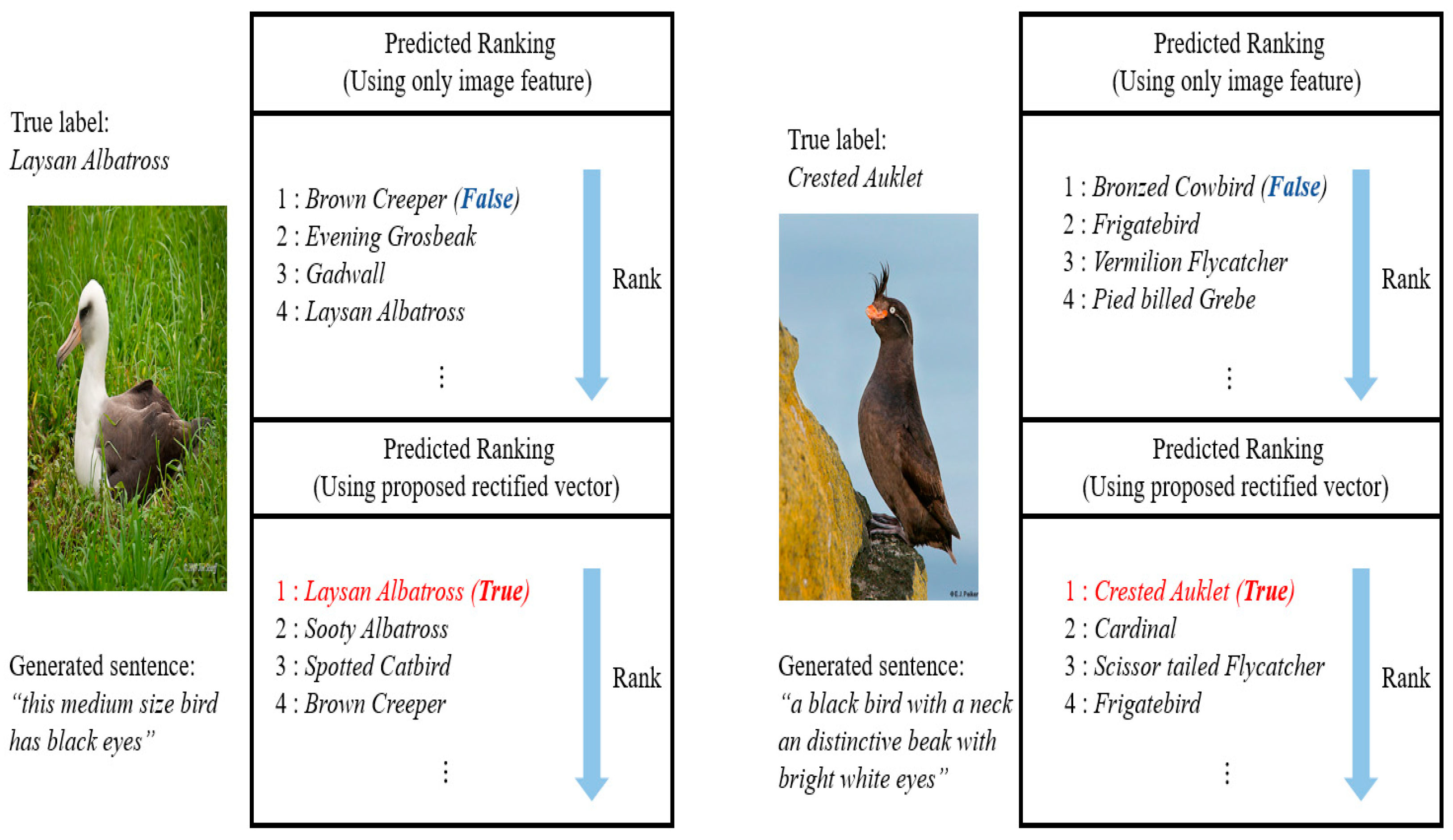 Applsci 13 07071 g004 Applsci 13 07071 g004