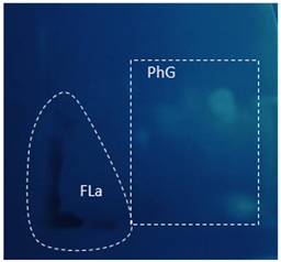 Applsci 13 07075 i005 Applsci 13 07075 i005