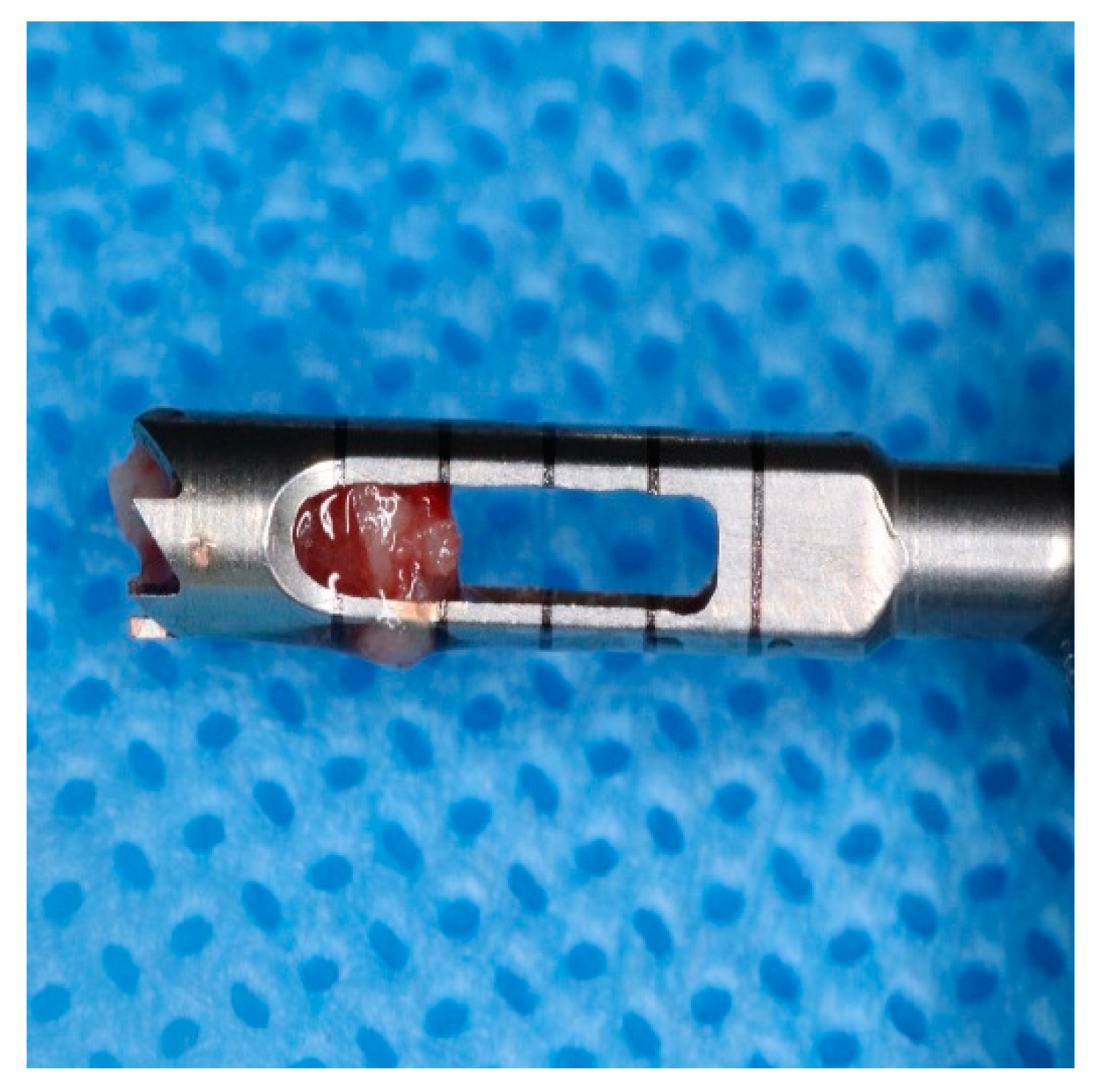 Applsci 13 07076 g002