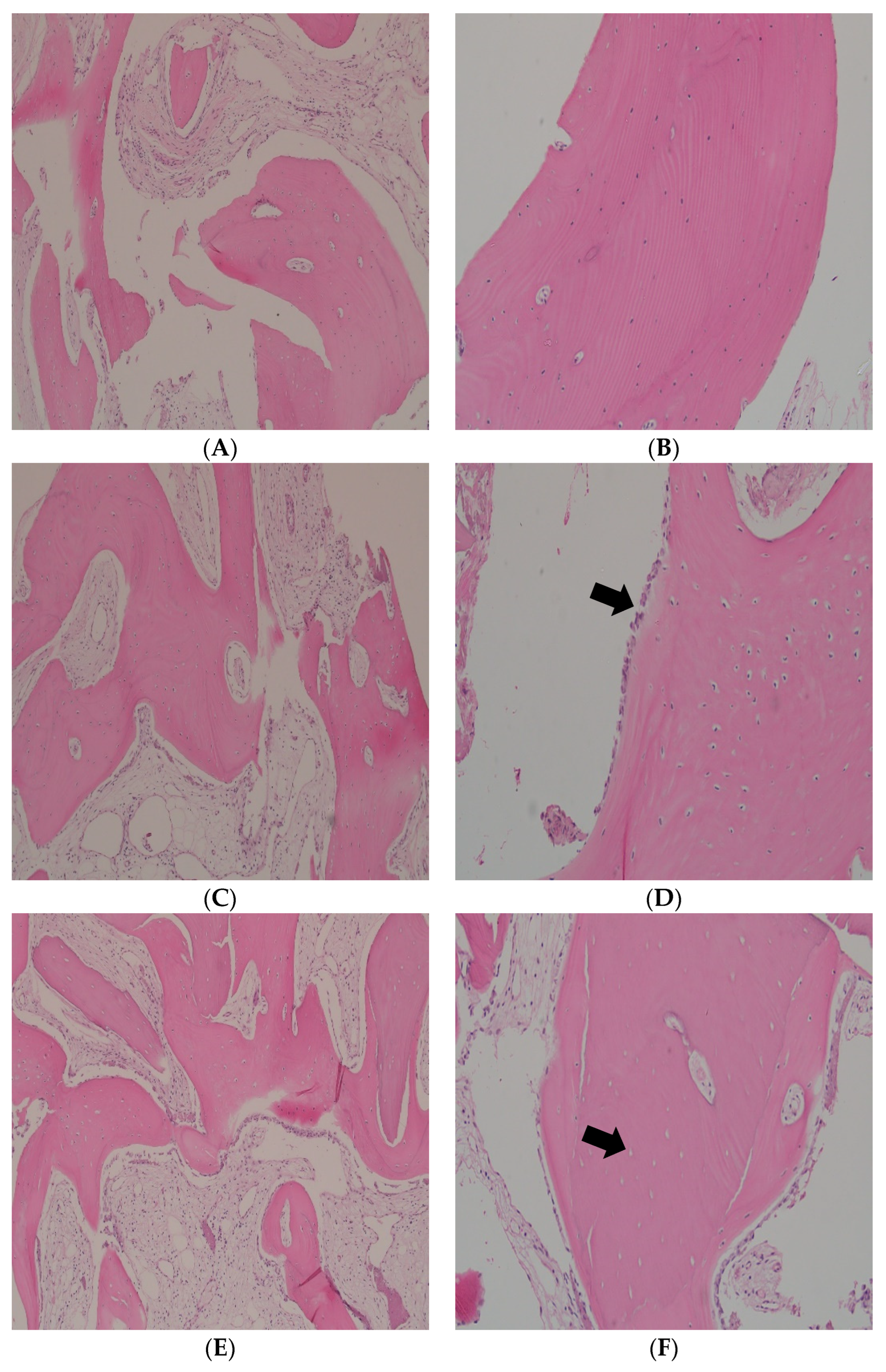 Applsci 13 07076 g004a