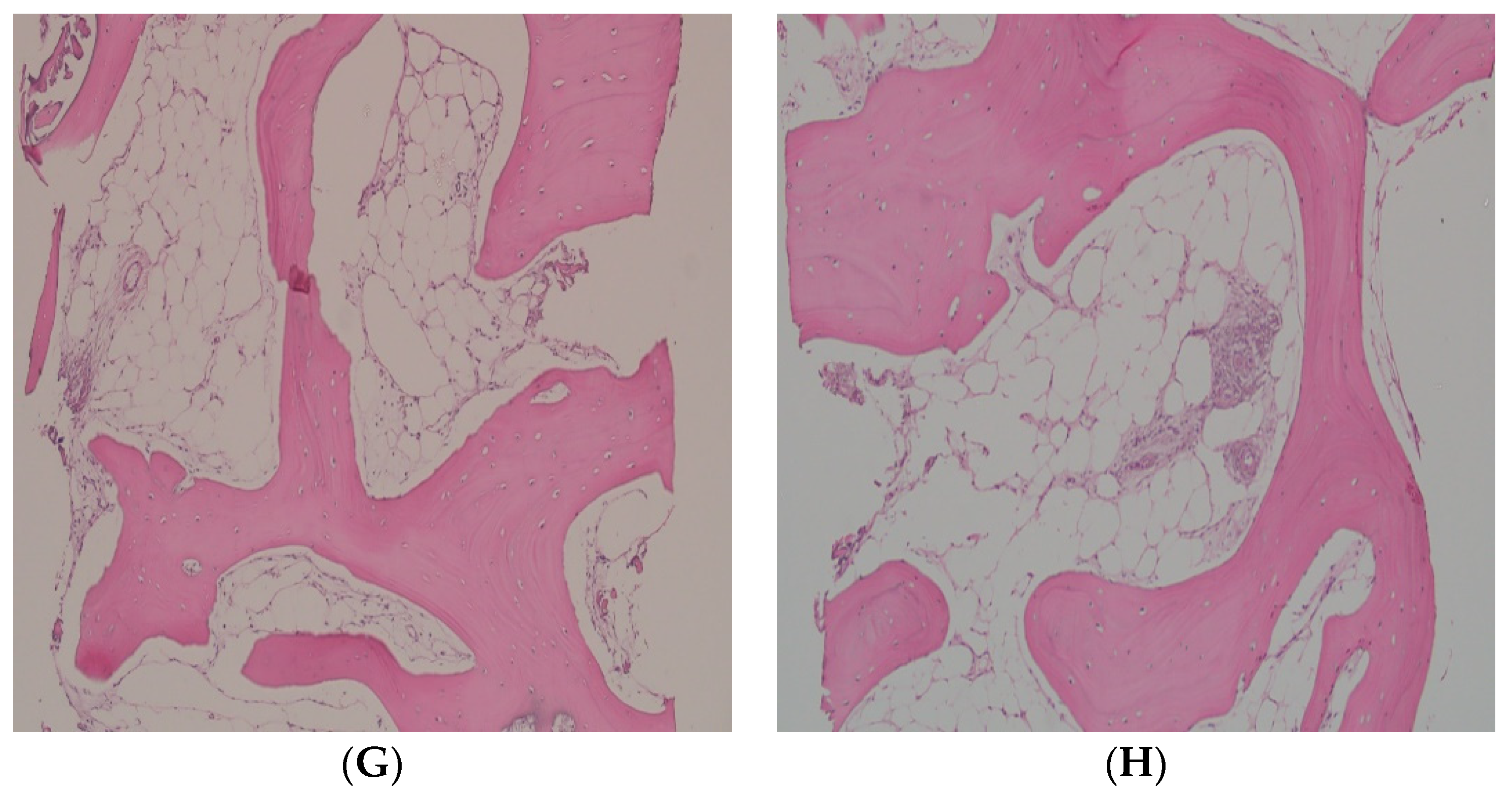 Applsci 13 07076 g004b