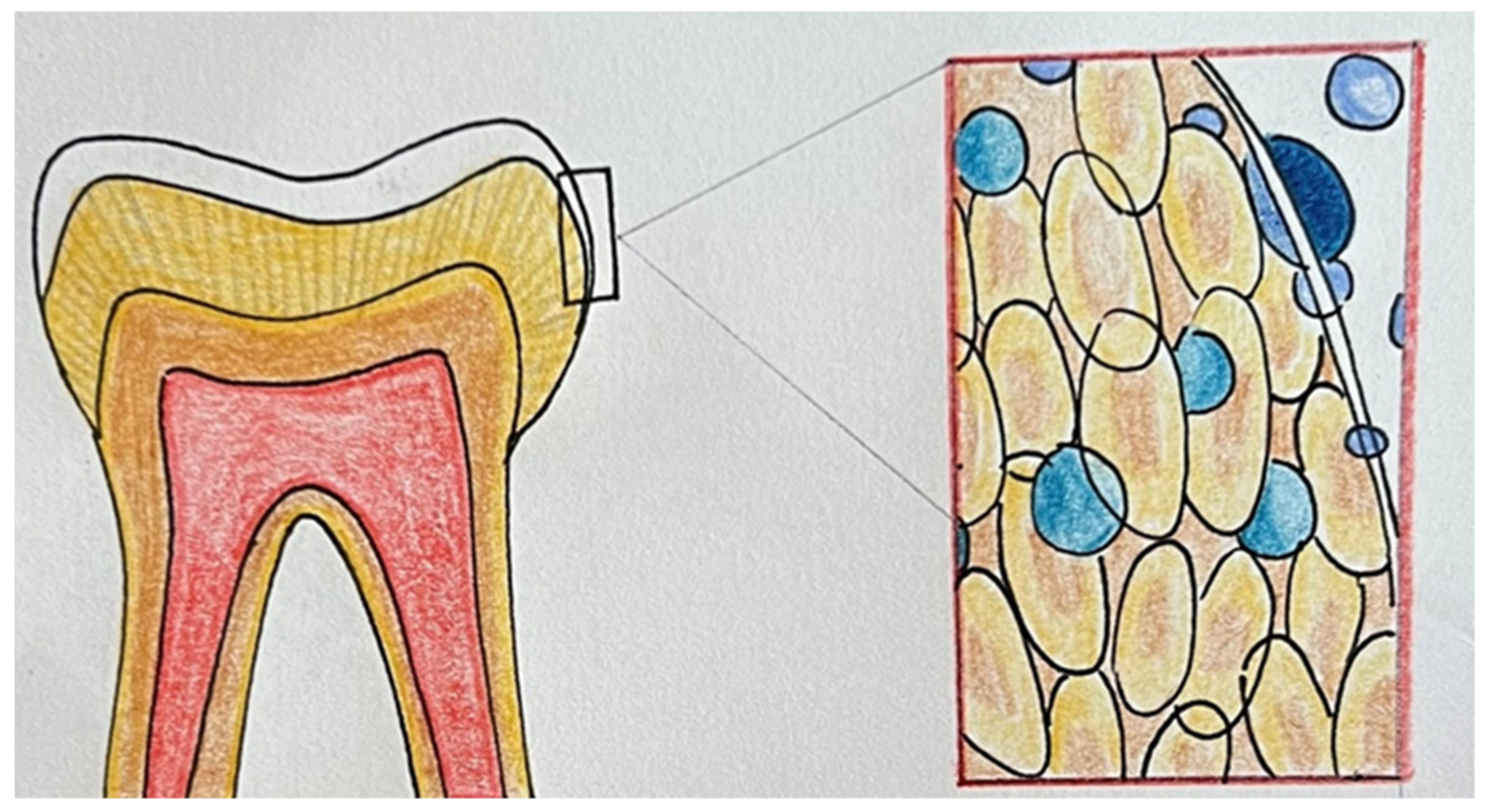 Applsci 13 07089 g003 Applsci 13 07089 g003