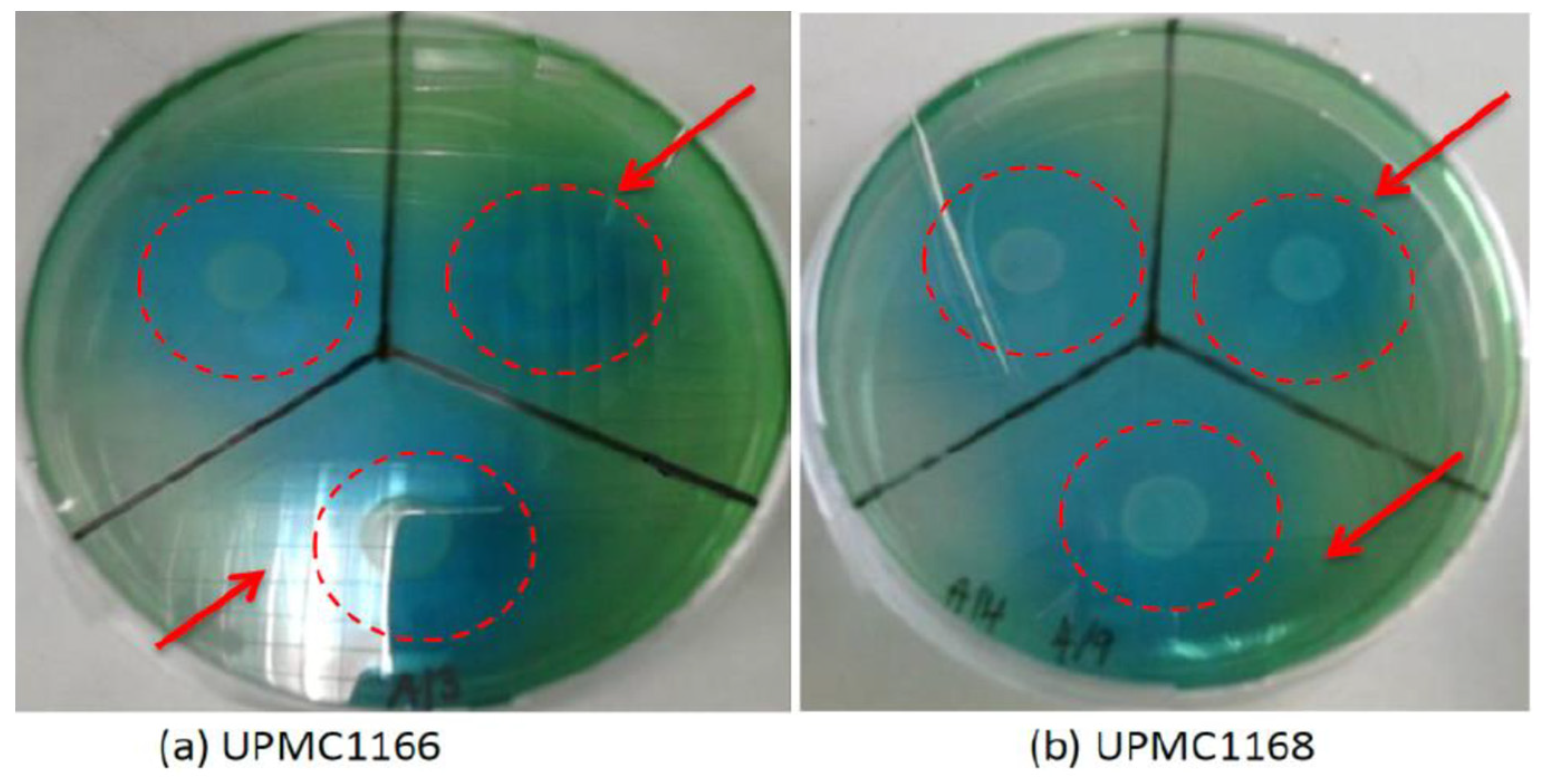 Applsci 13 07105 g001