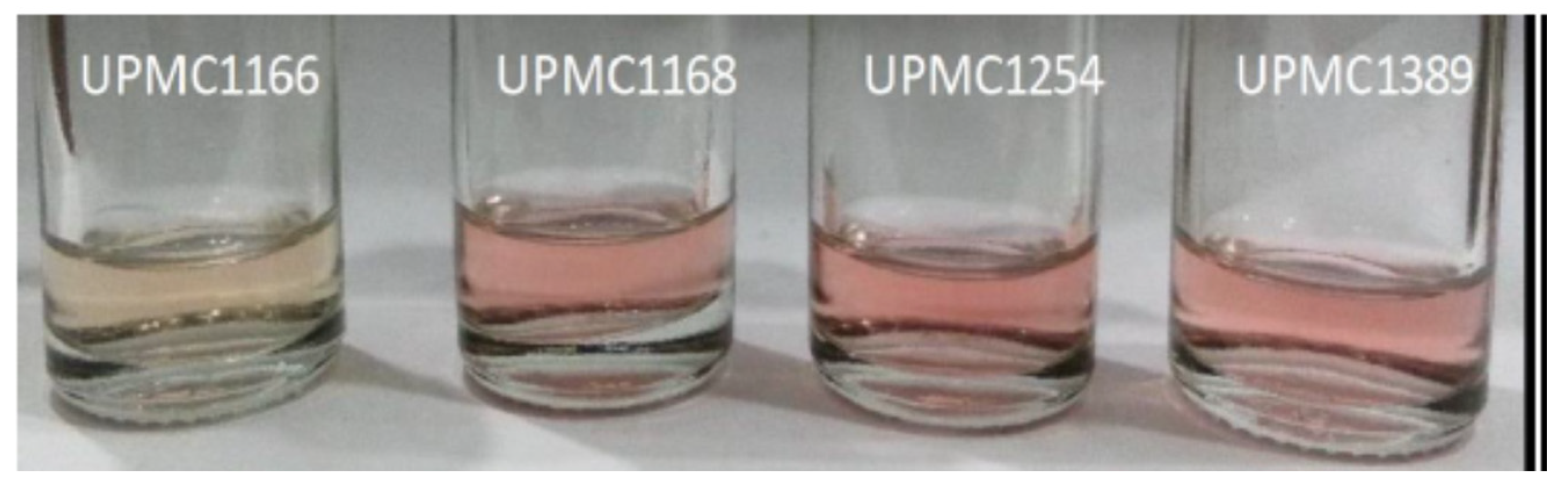 Applsci 13 07105 g004