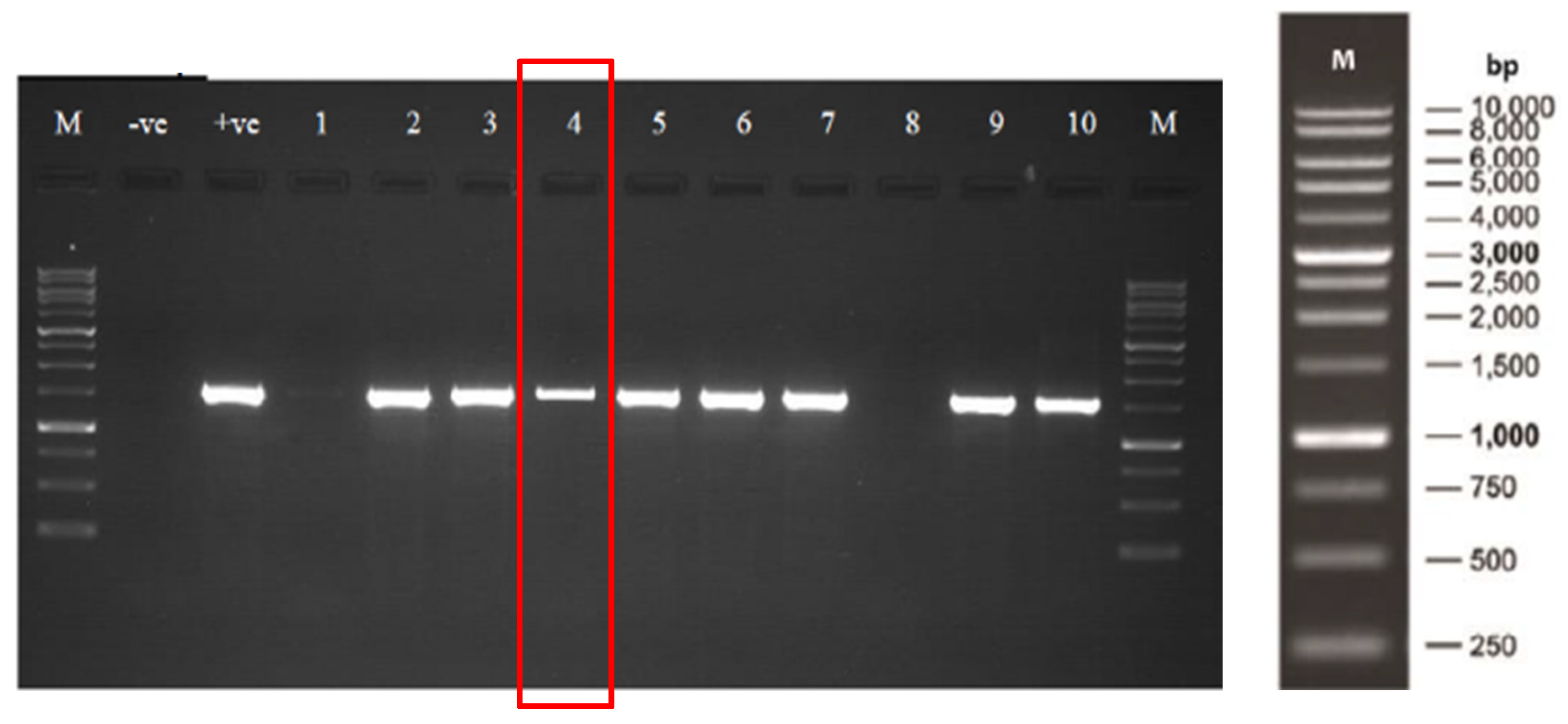 Applsci 13 07105 g005