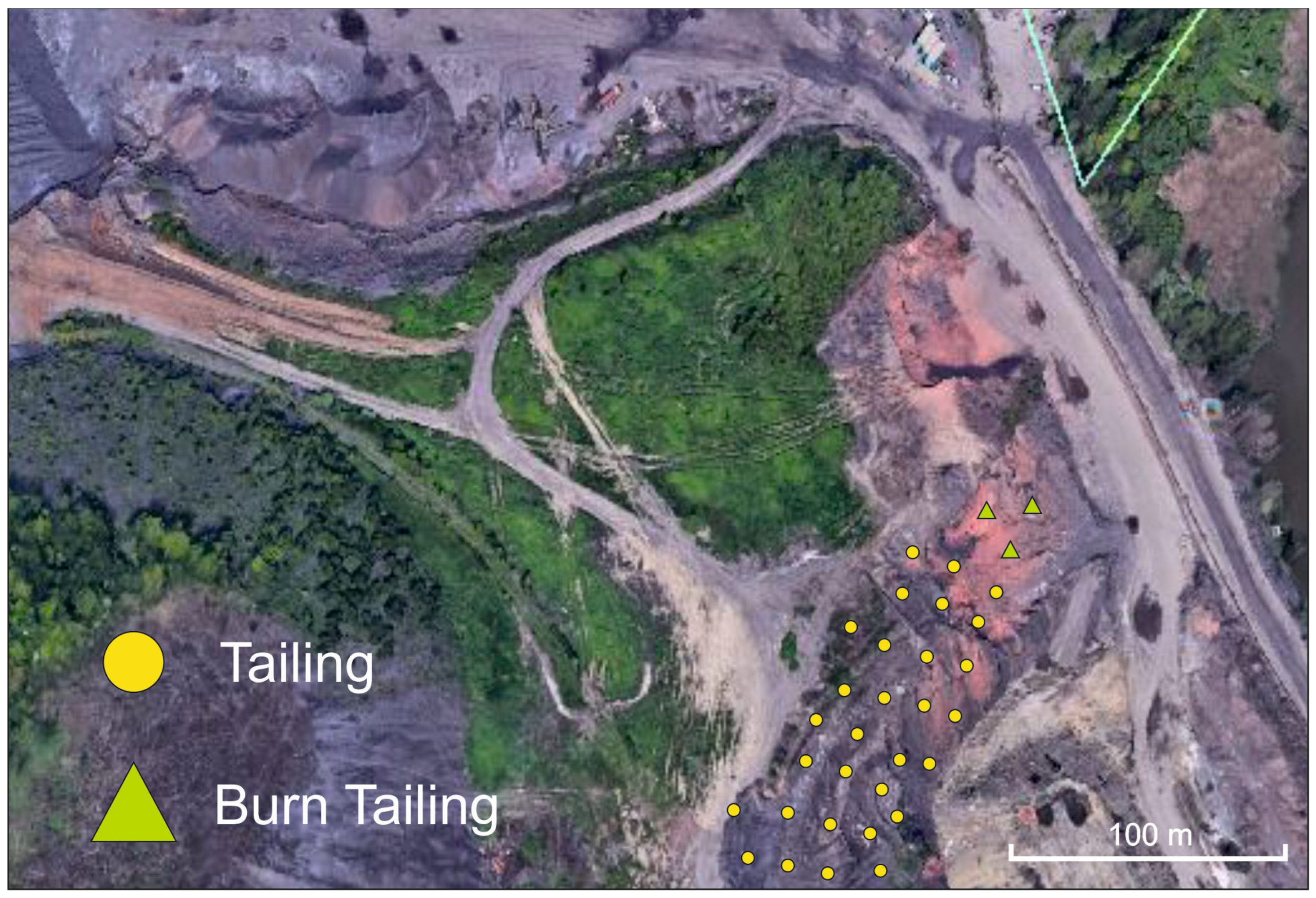 Applsci 13 07123 g003