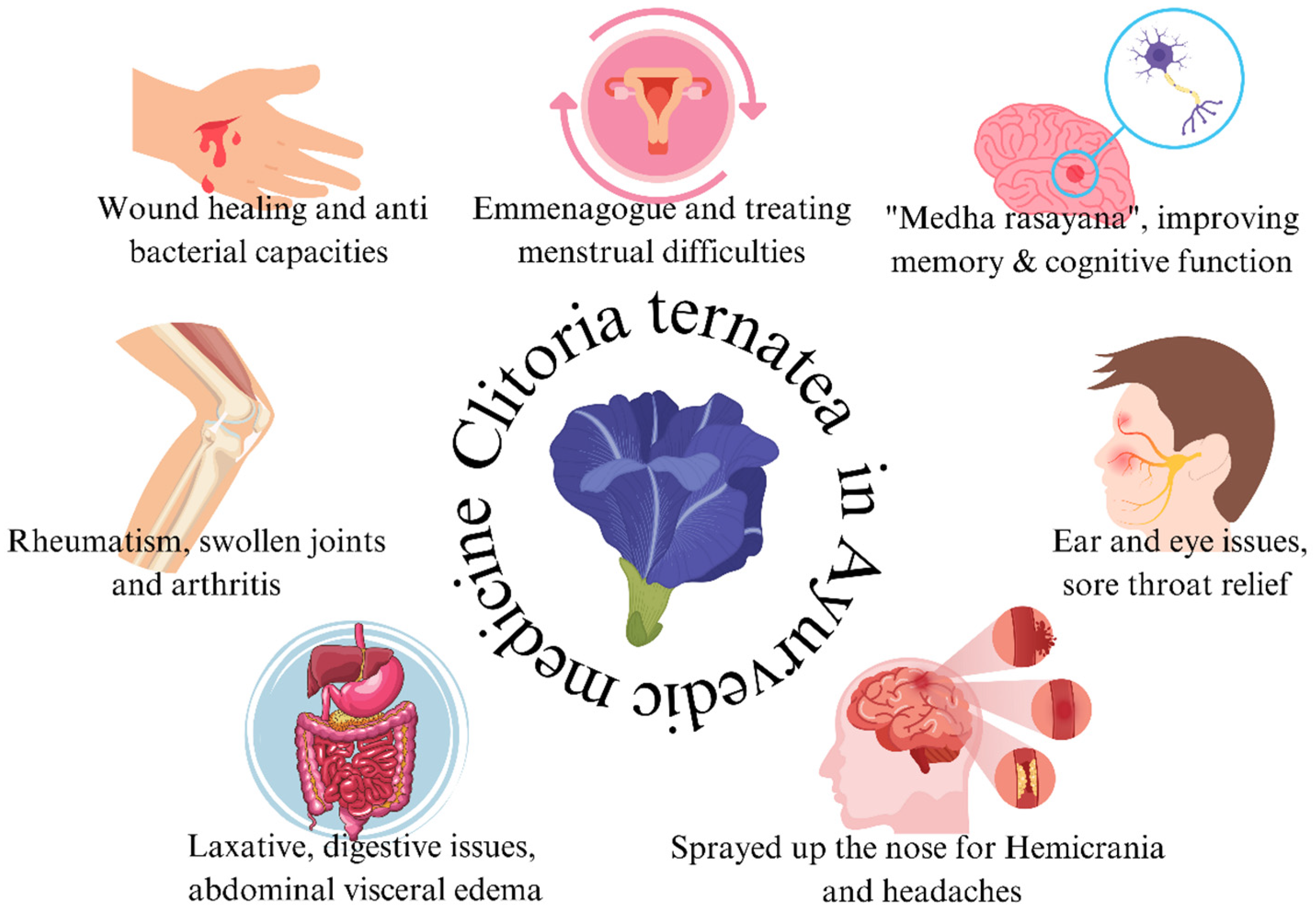 The Potential for the Implementation of Pea Flower (Clitoria ternatea) Health Properties in Food Matrix
