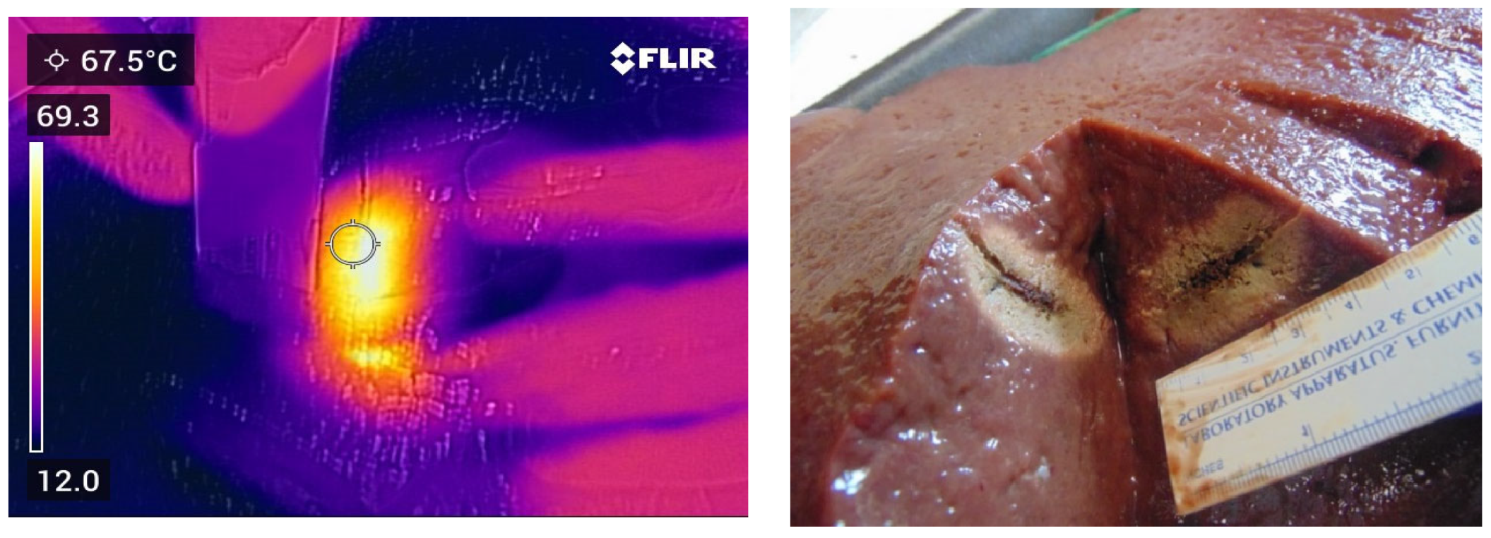 Applsci 13 07177 g003