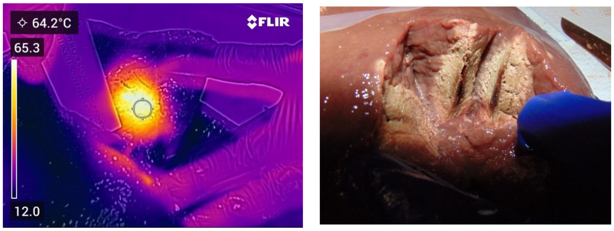 Applsci 13 07177 g004