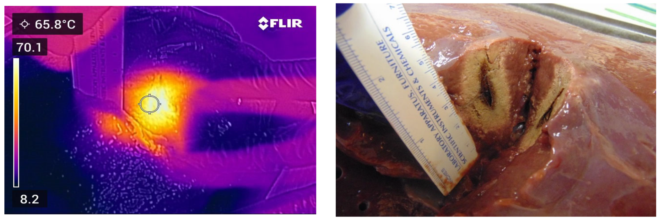 Applsci 13 07177 g005