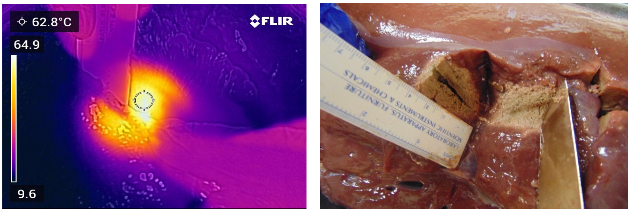 Applsci 13 07177 g006