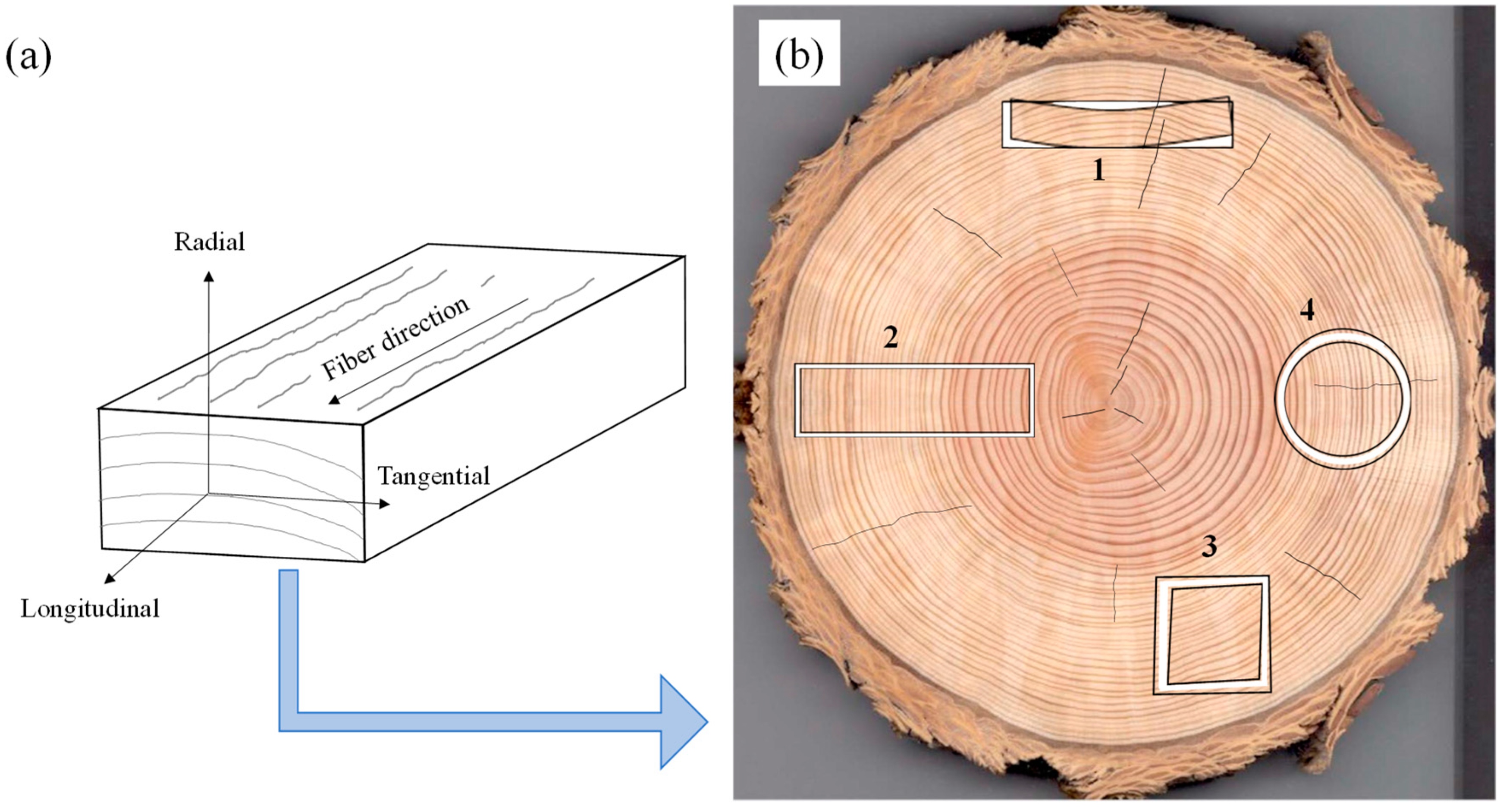 Applsci 13 07251 g001