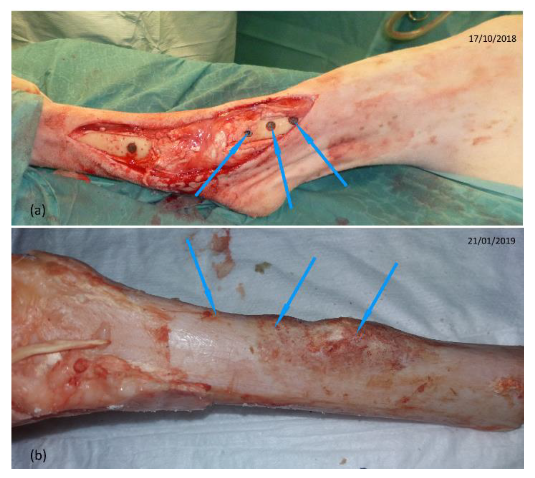 Applsci 13 07282 g004