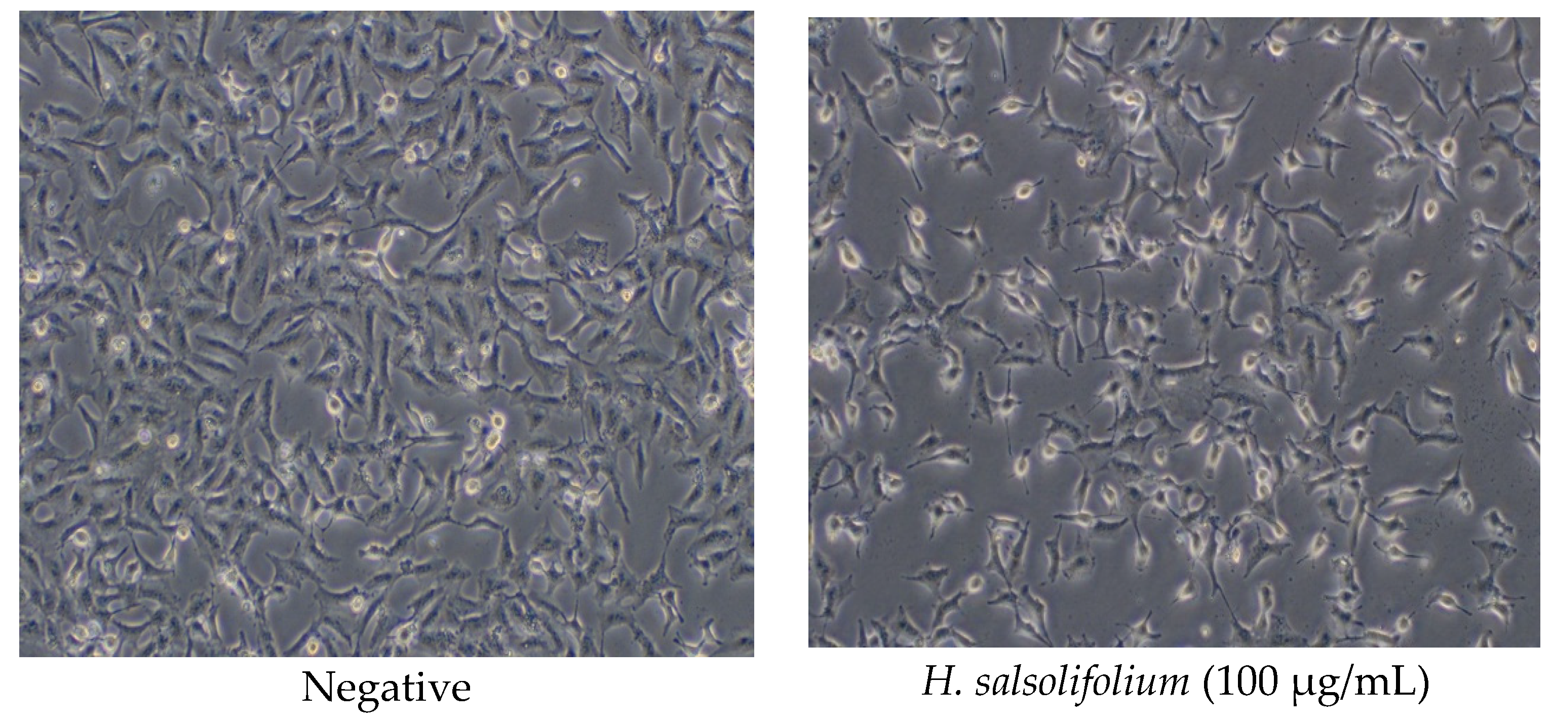 Applsci 13 07300 g001a