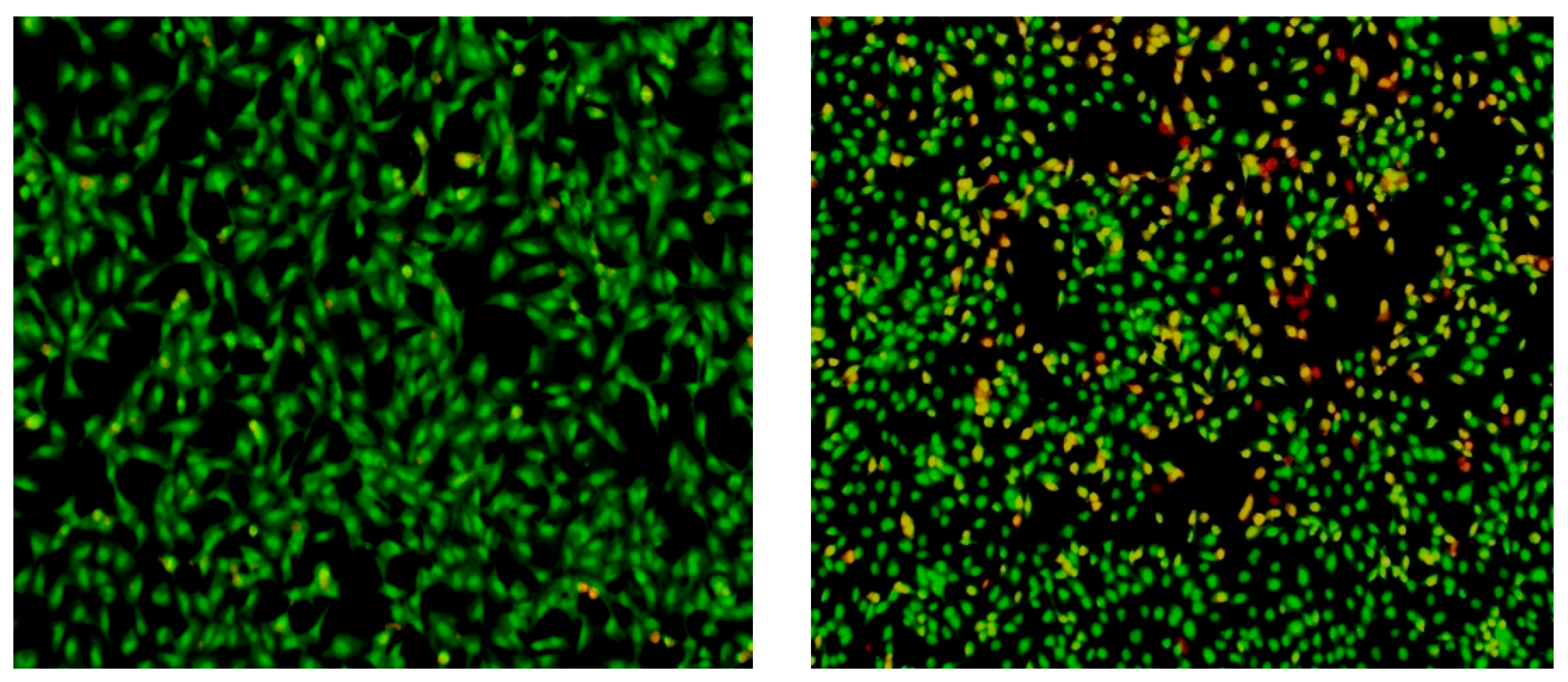 Applsci 13 07300 g001b