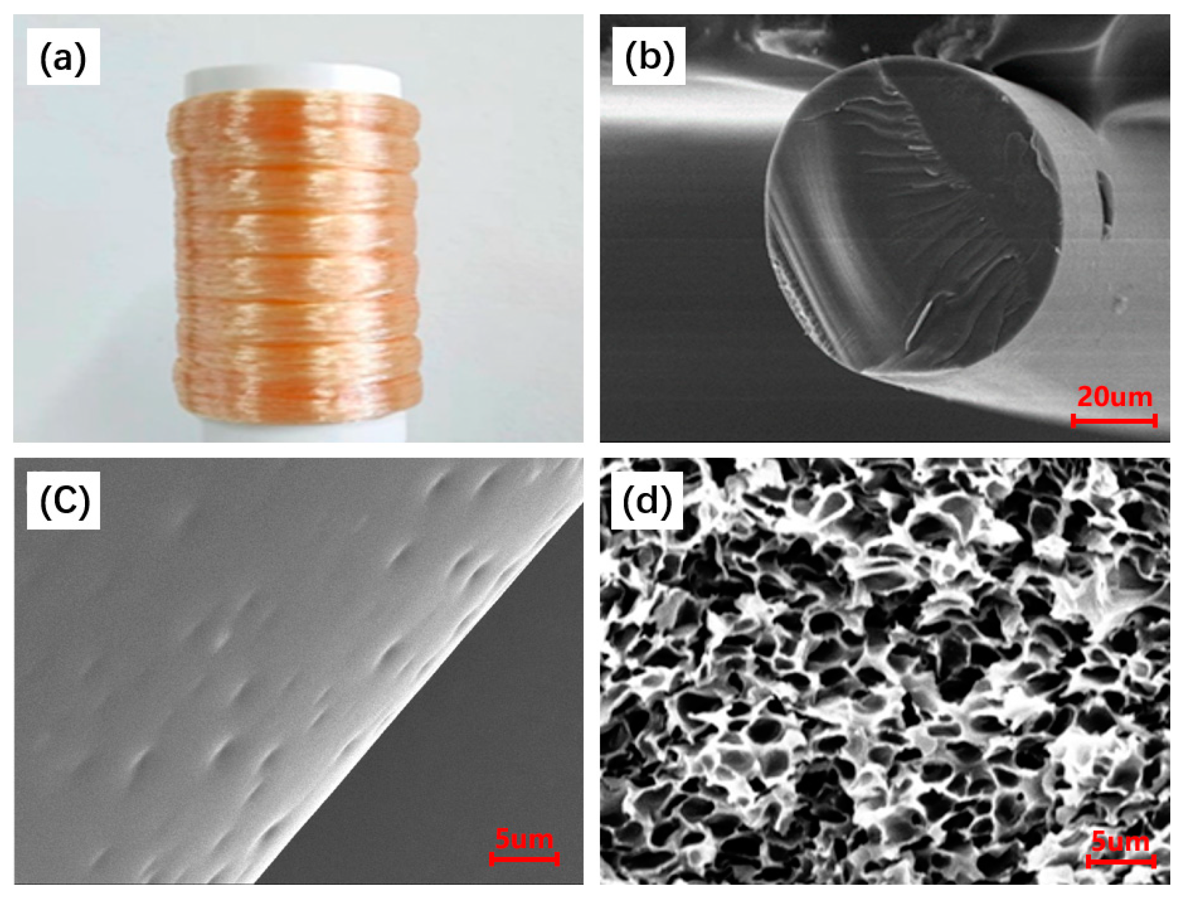 Applsci 13 07304 g003 Applsci 13 07304 g003