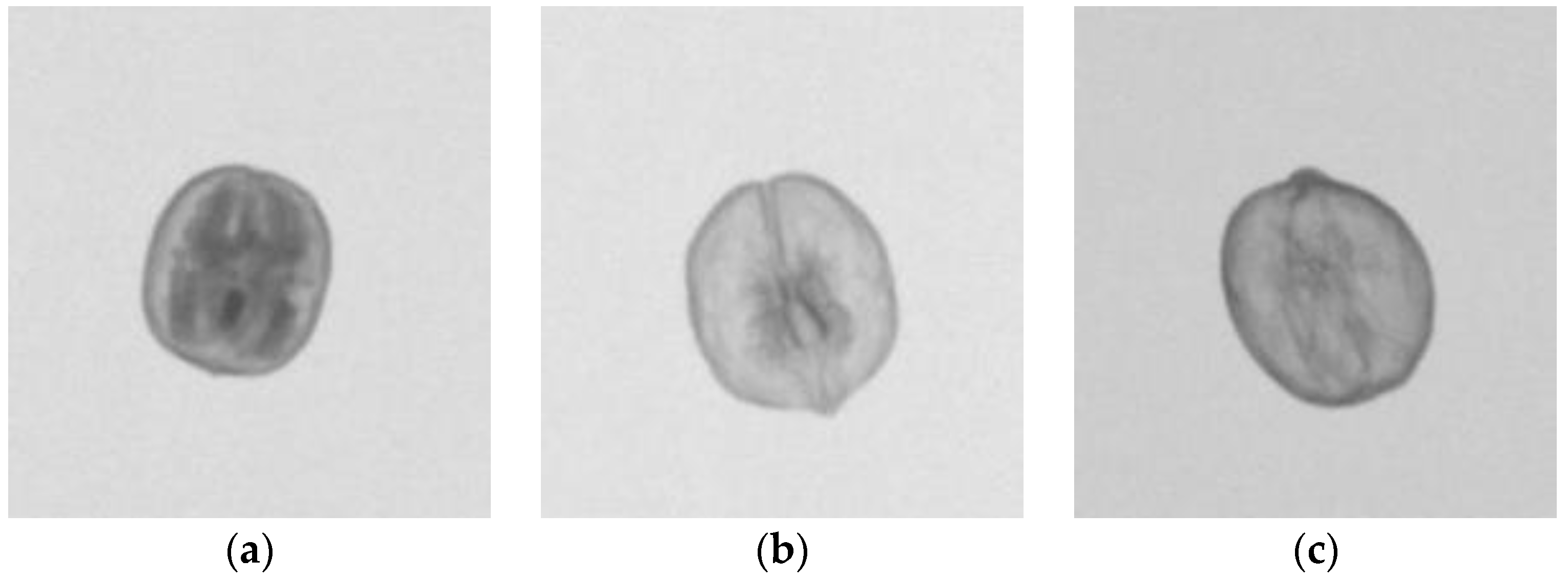 Applsci 13 07311 g002