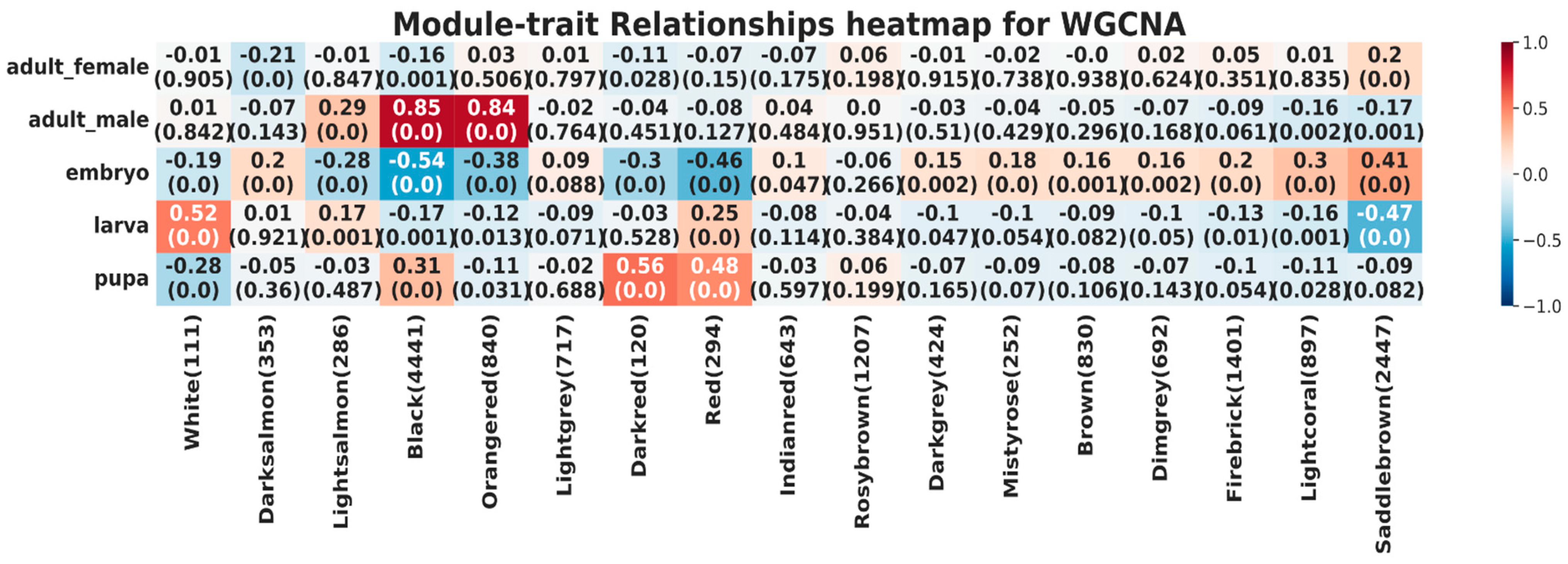 Applsci 13 07342 g003 Applsci 13 07342 g003