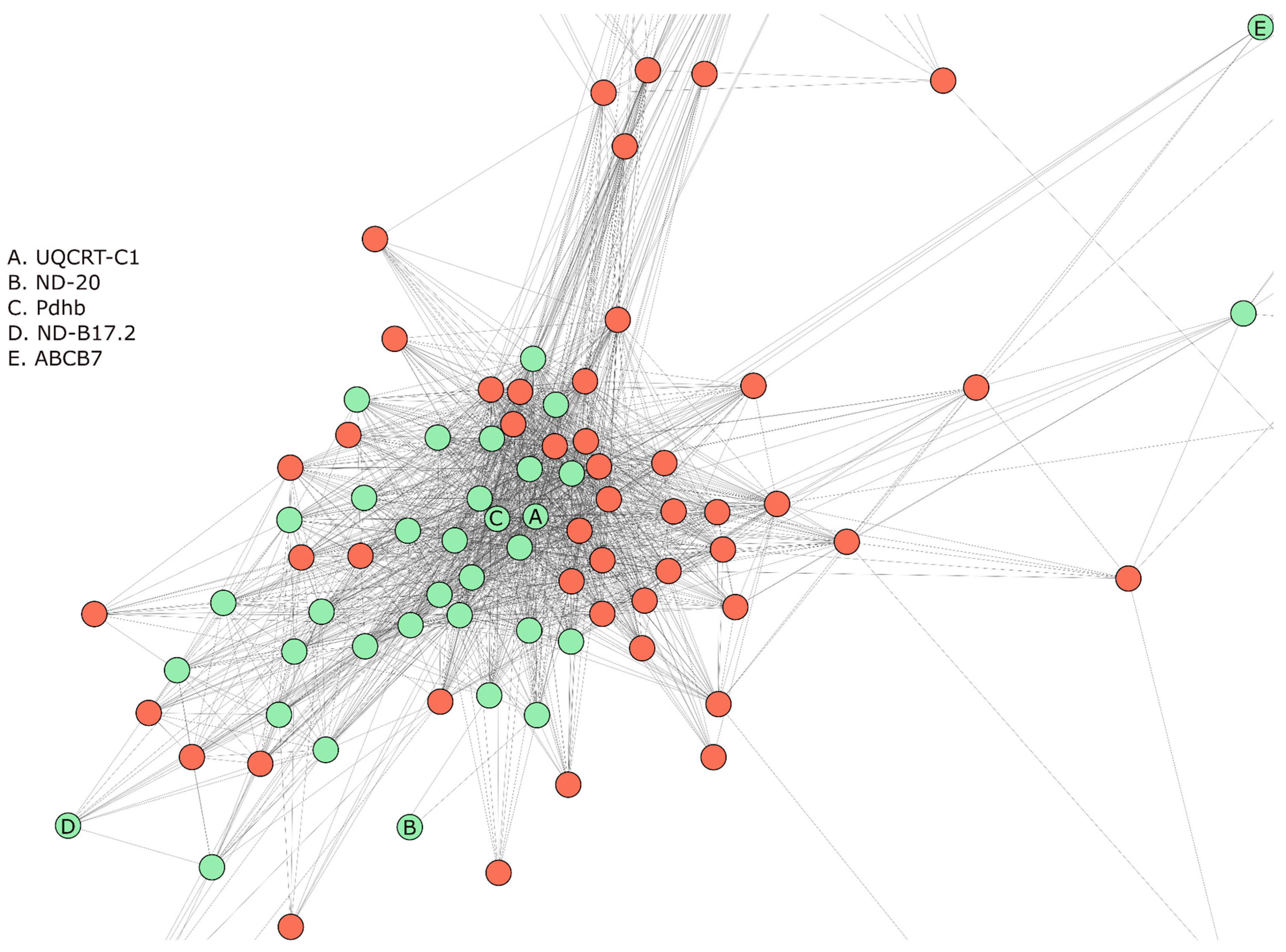 Applsci 13 07342 g006 Applsci 13 07342 g006