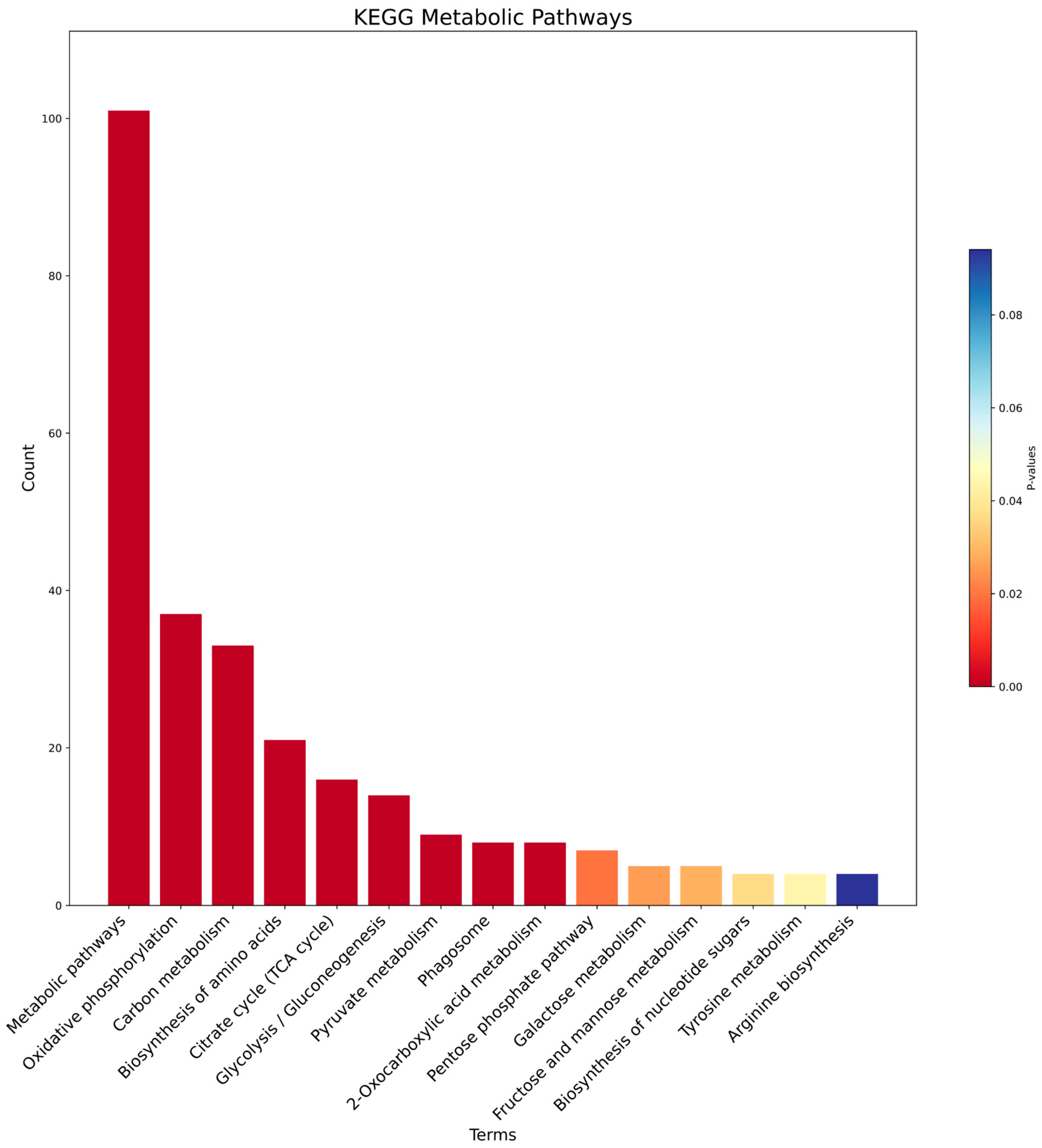 Applsci 13 07342 g008 Applsci 13 07342 g008