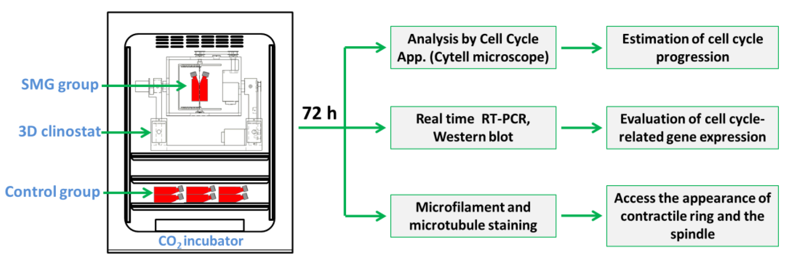 Applsci 13 07351 g001