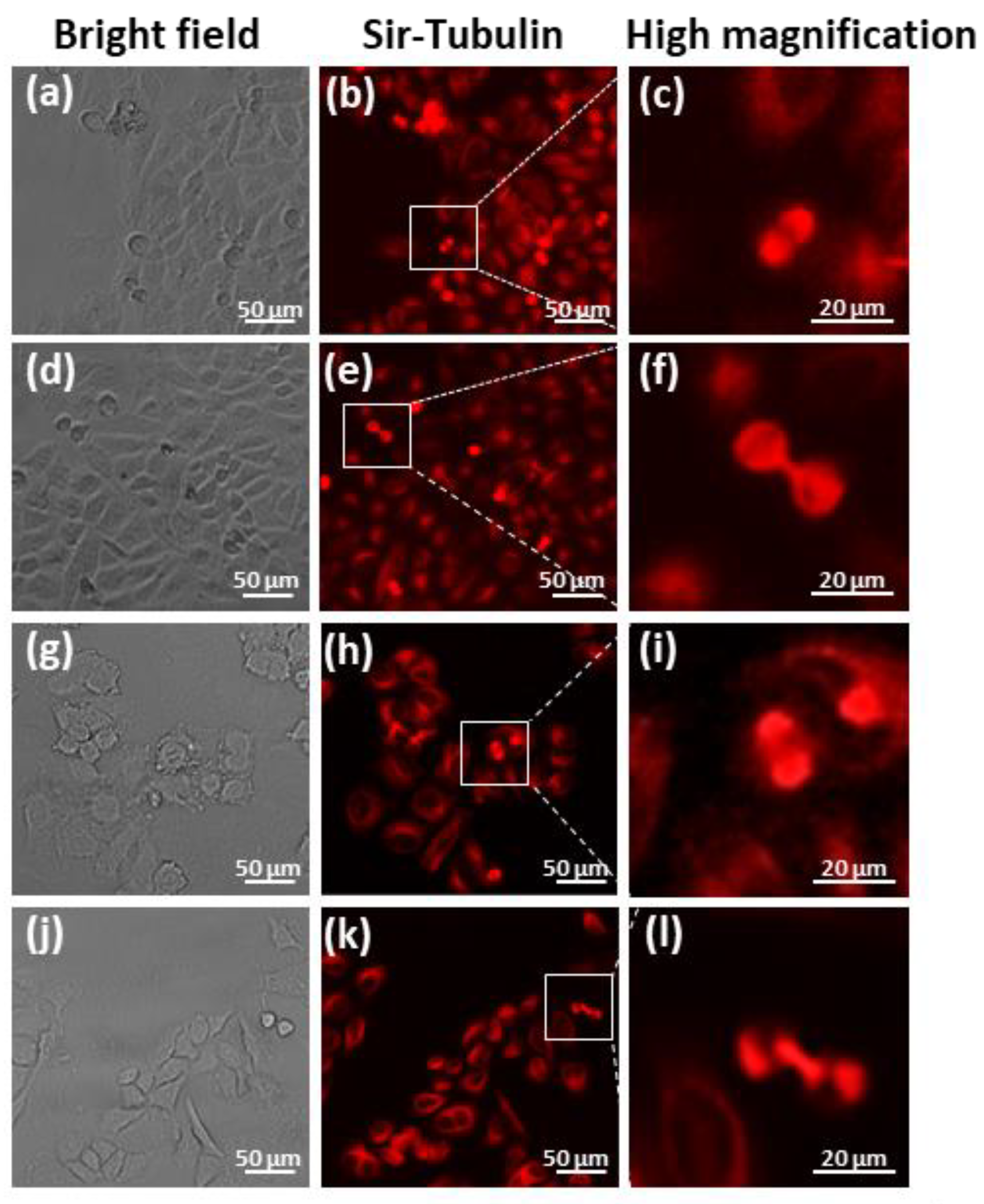 Applsci 13 07351 g006