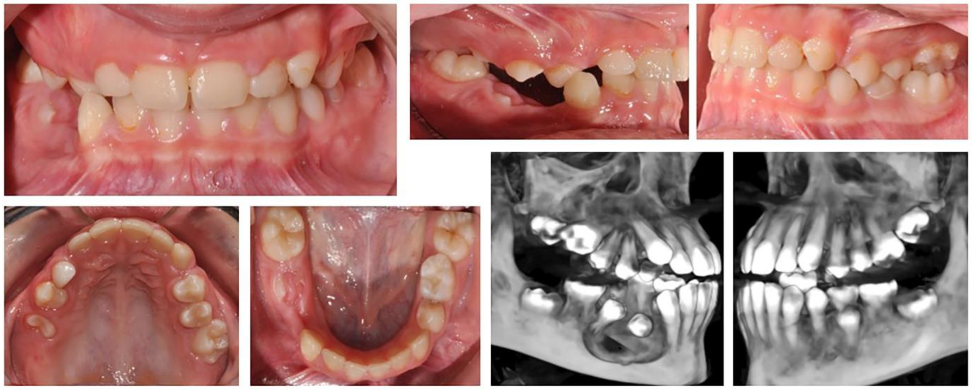 Applsci 13 07353 g003