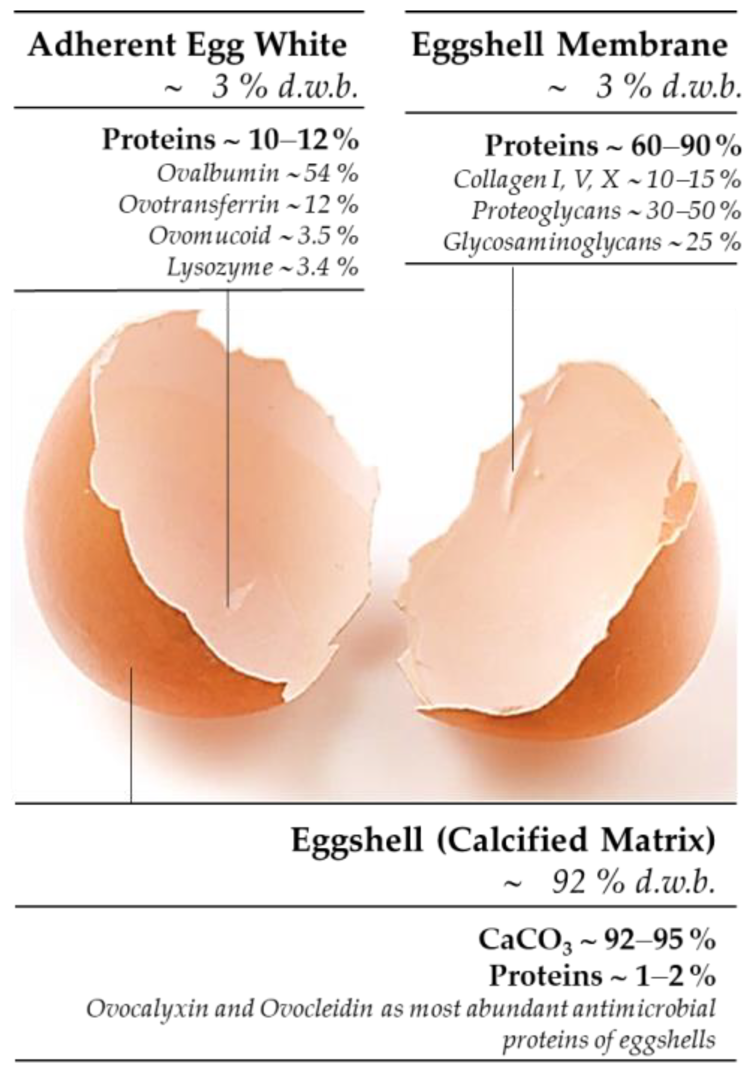 Applied Sciences Free FullText EggshellWasteDerived Calcium