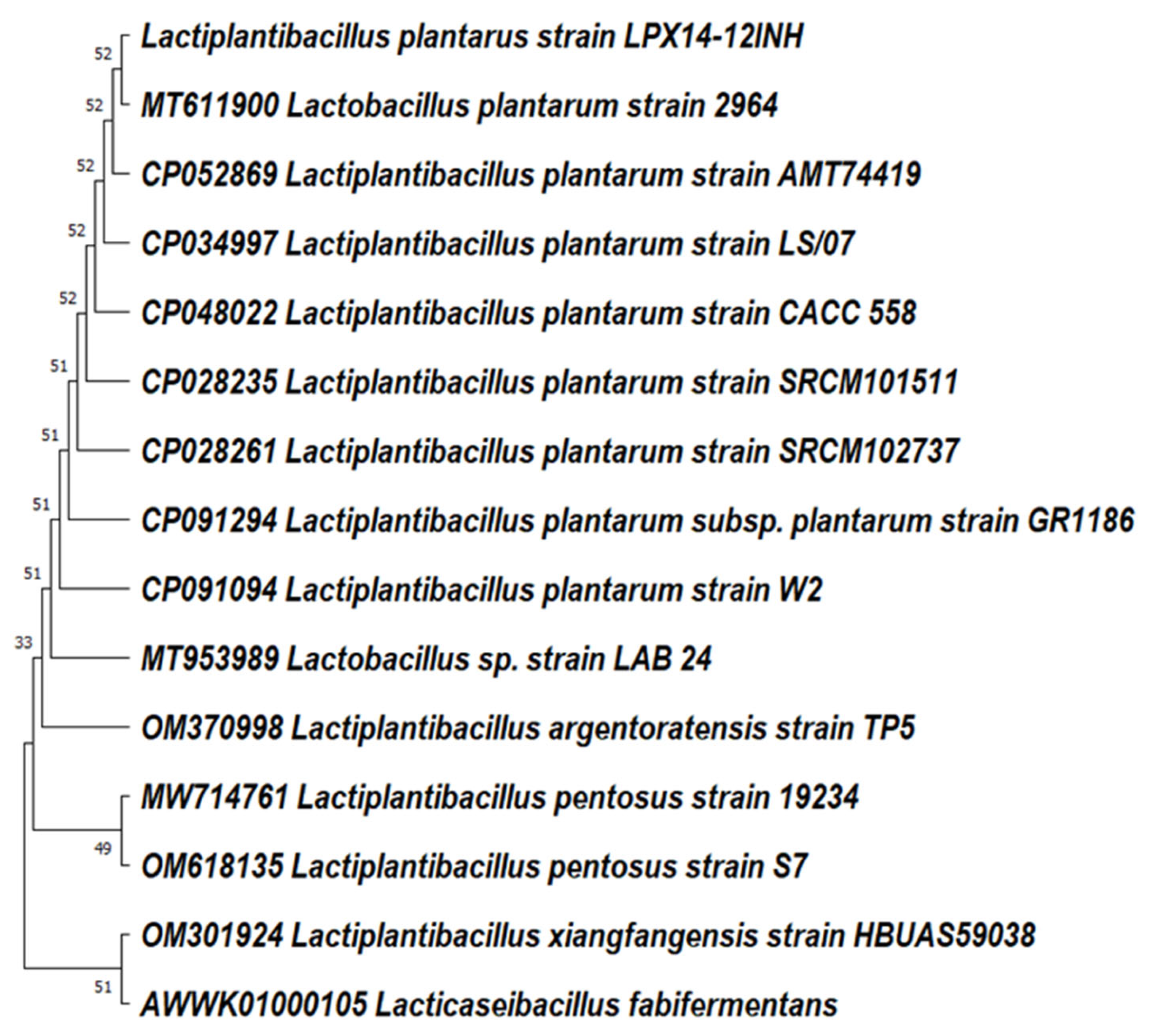 Applsci 13 07378 g004 Applsci 13 07378 g004