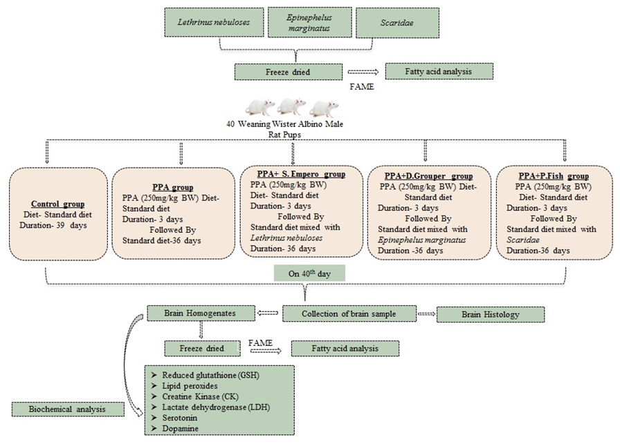 Applsci 13 07392 g002