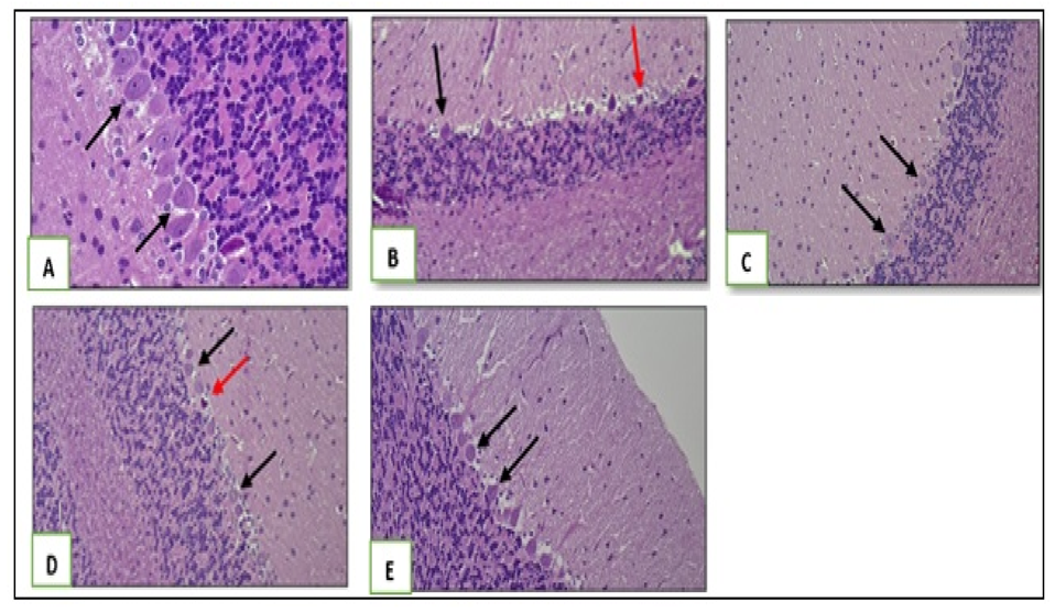 Applsci 13 07392 g004