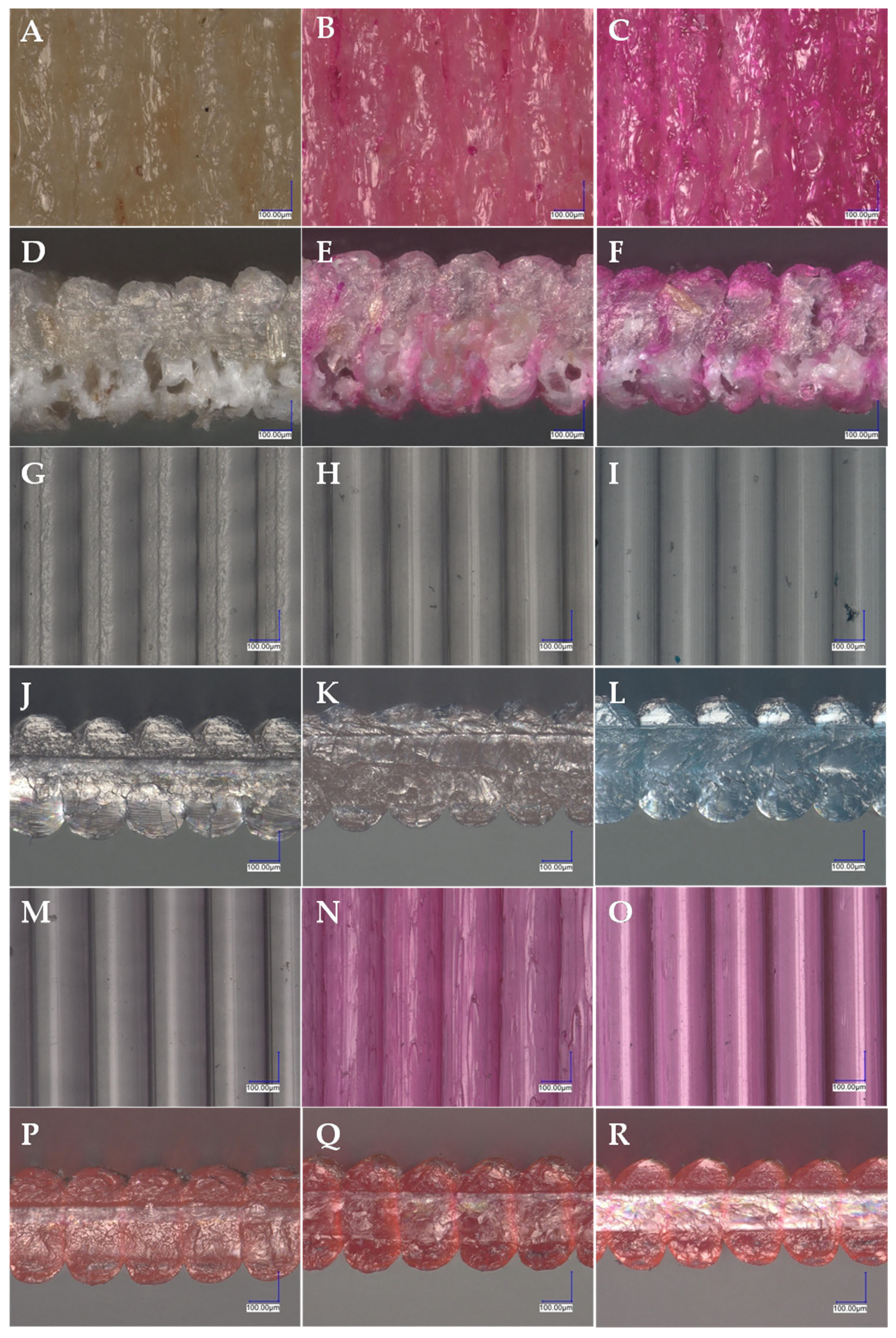 Applsci 13 07393 g013