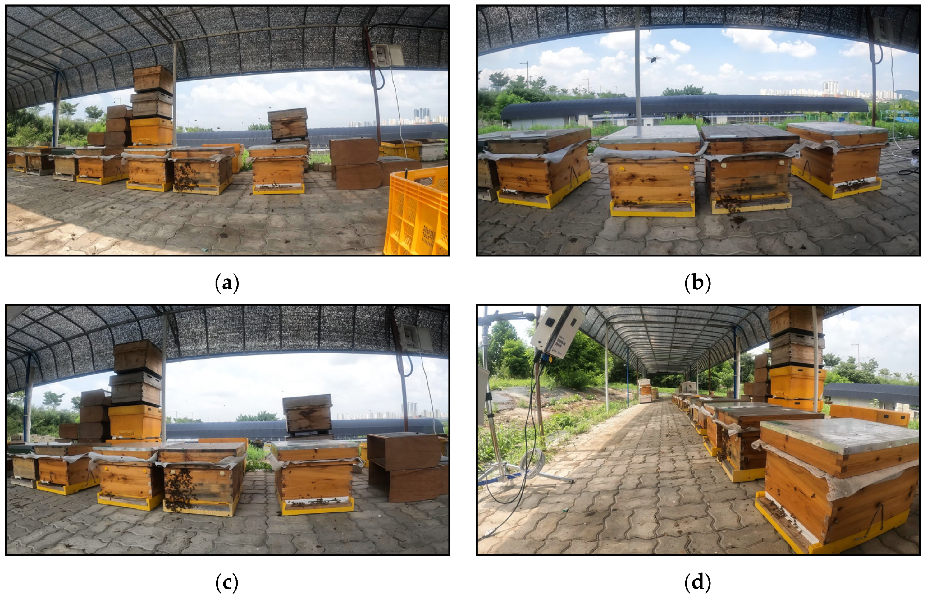 Applsci 13 07414 g003