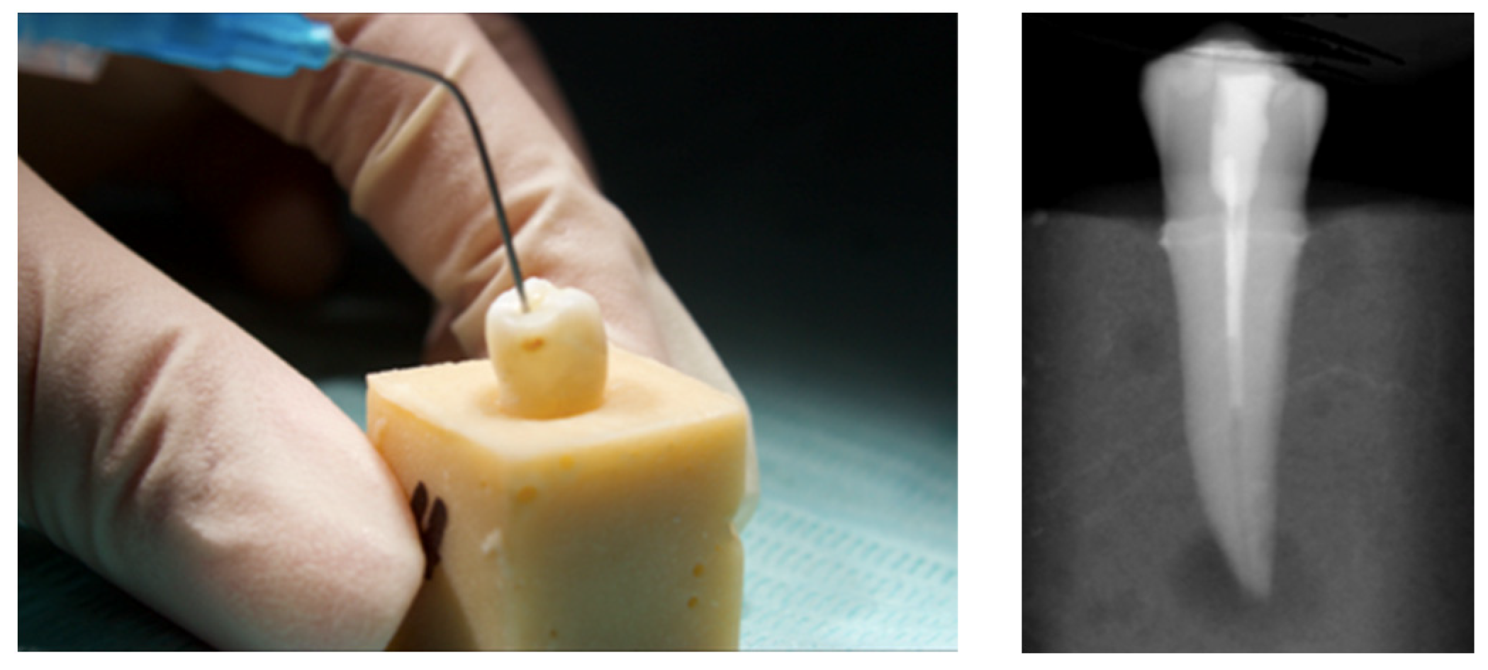 Applied Sciences Free FullText Assessment of for